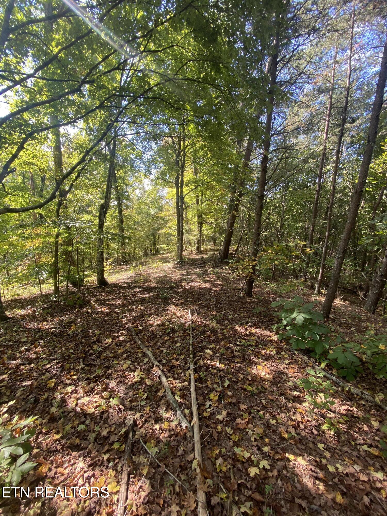 9150 Brownlow Newman Lane Knoxville TN 37914