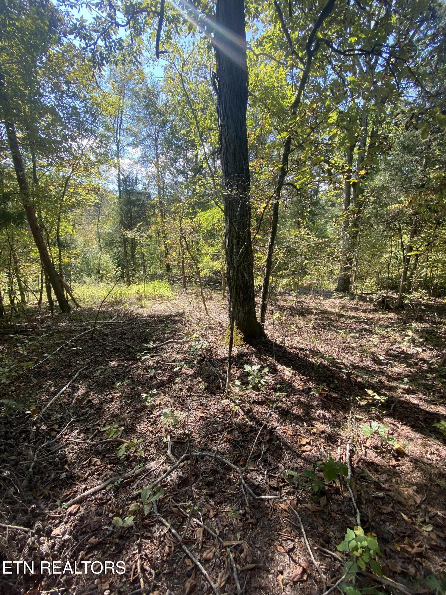 9150 Brownlow Newman Lane Knoxville TN 37914