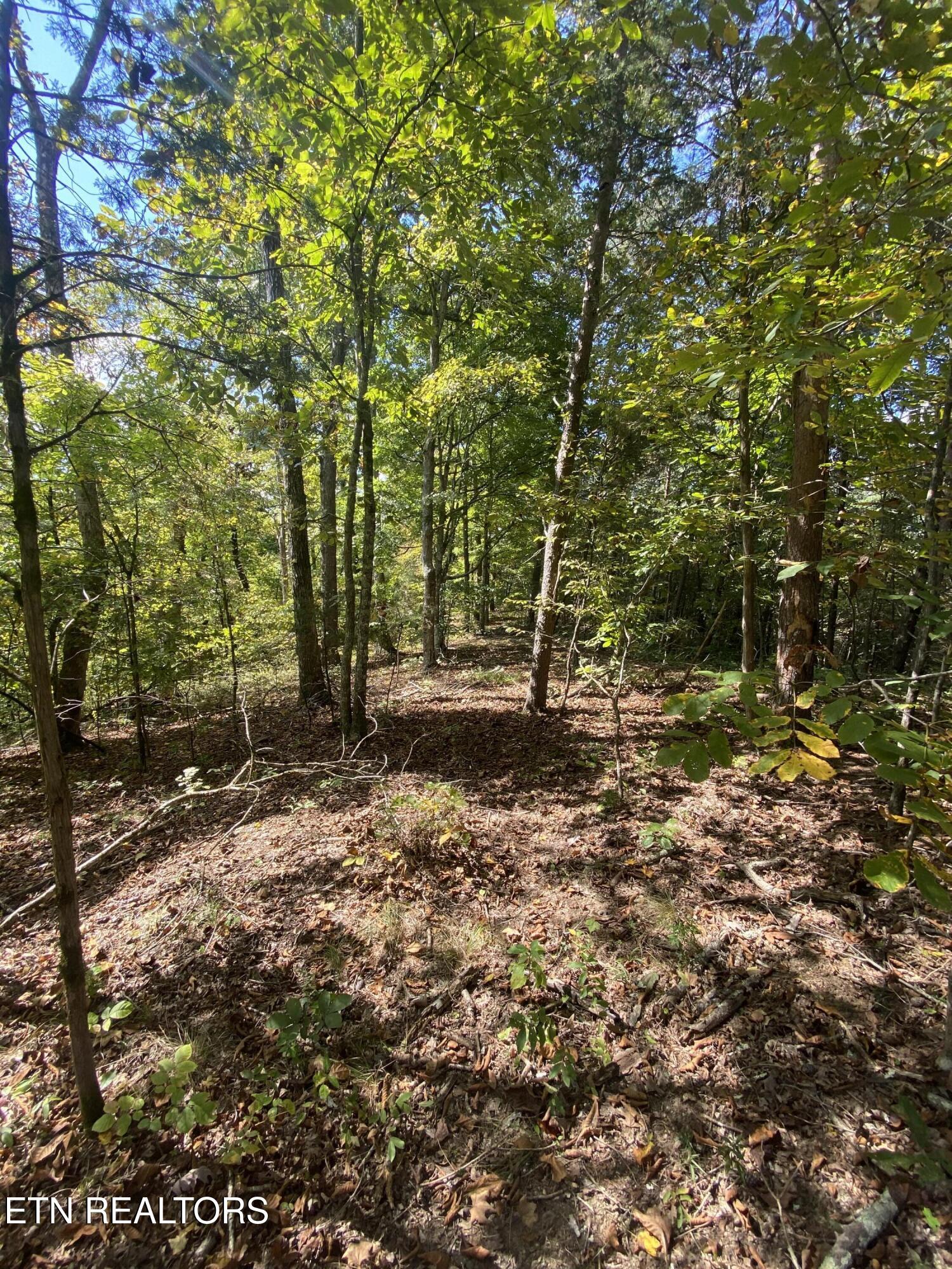 9150 Brownlow Newman Lane Knoxville TN 37914