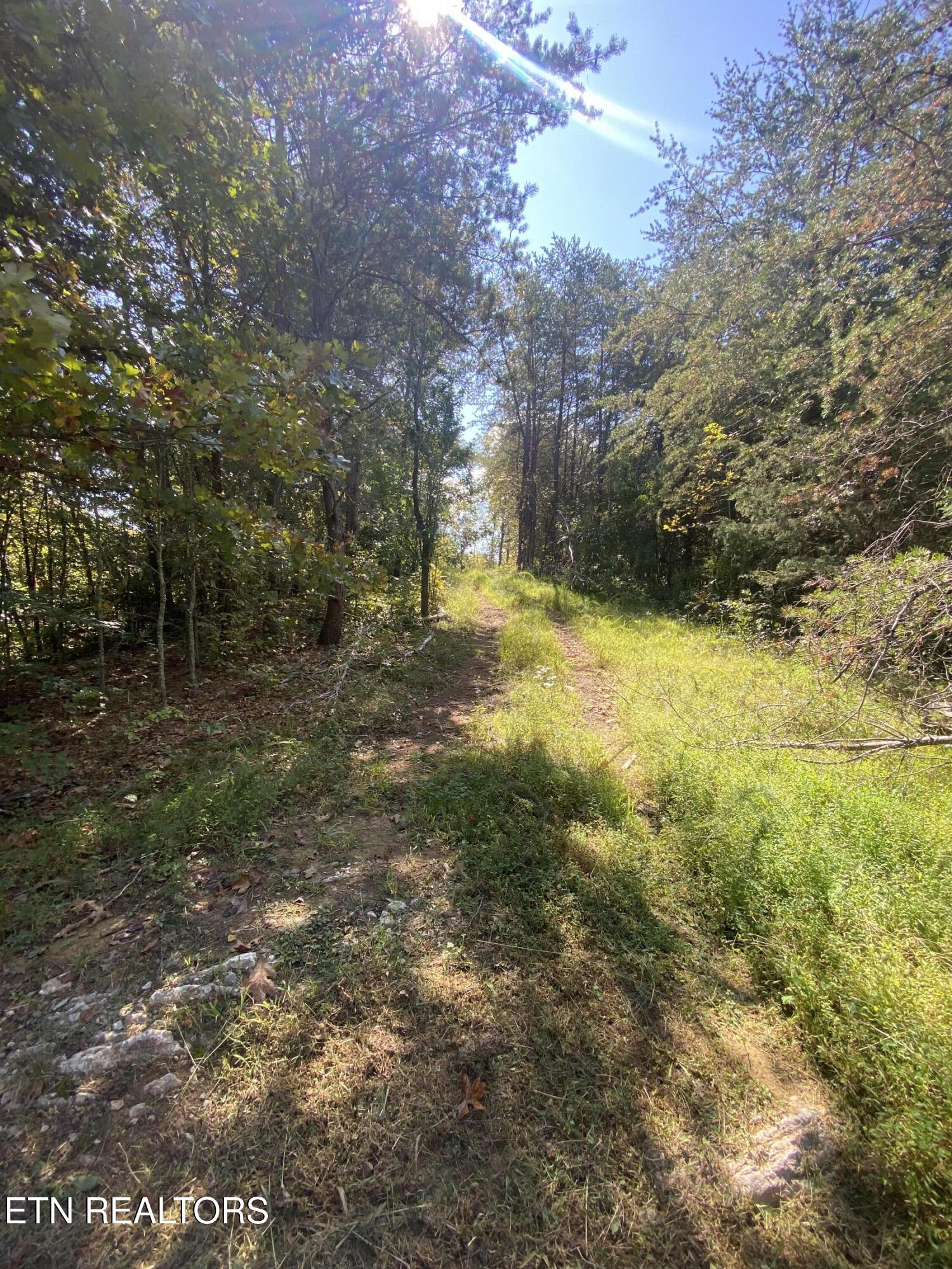 9150 Brownlow Newman Lane Knoxville TN 37914