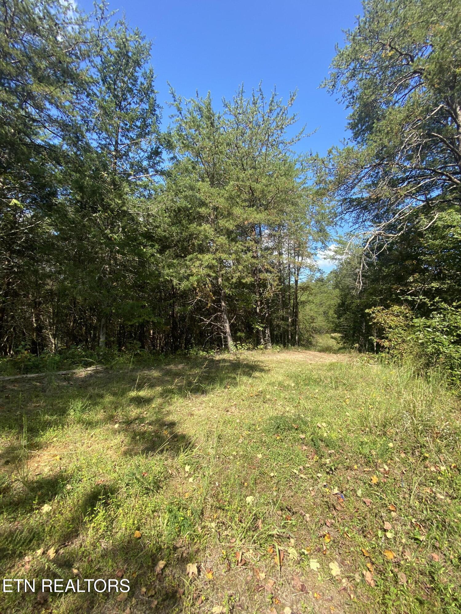 9150 Brownlow Newman Lane Knoxville TN 37914