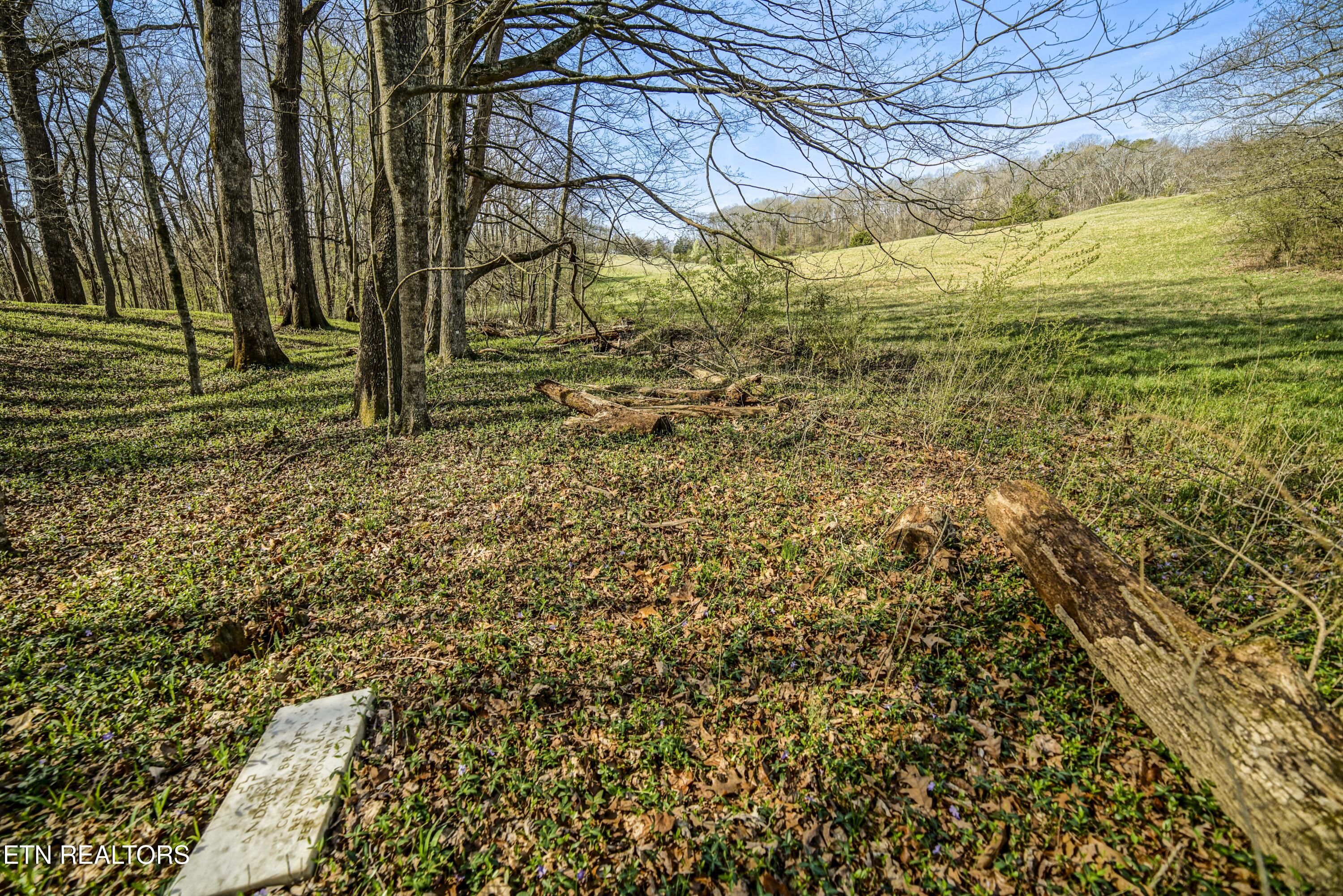 243 Black Oak Road Clinton TN 37716
