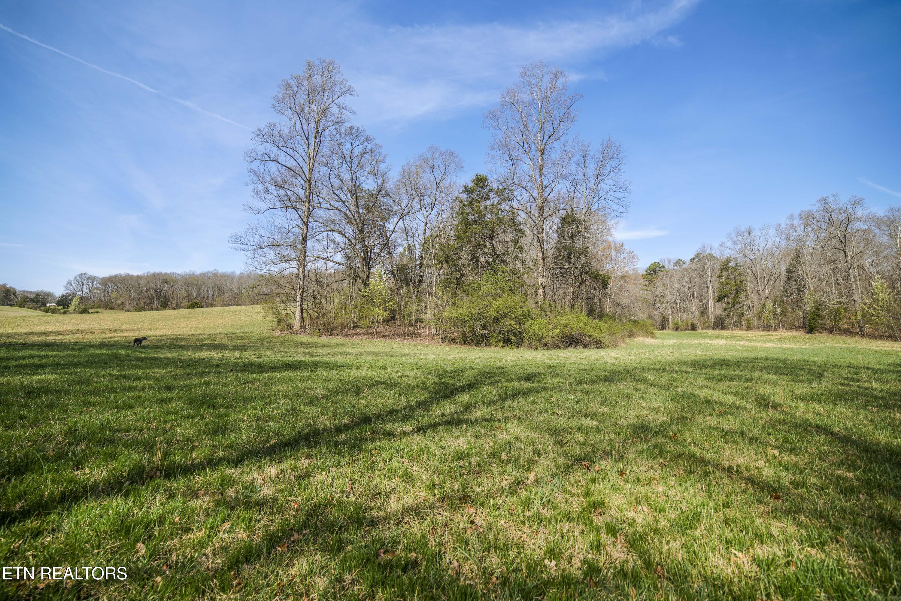 243 Black Oak Road Clinton TN 37716