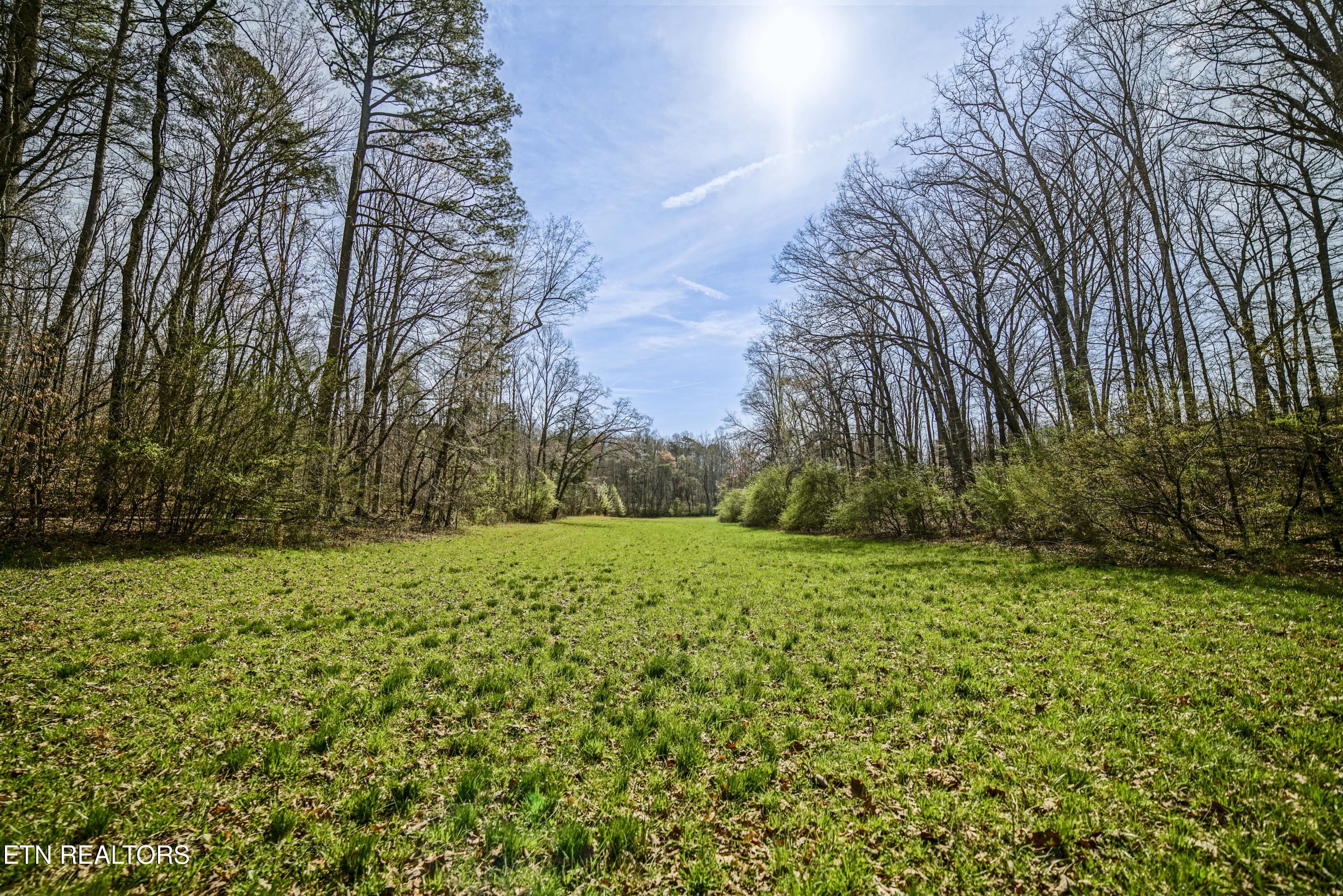 243 Black Oak Road Clinton TN 37716