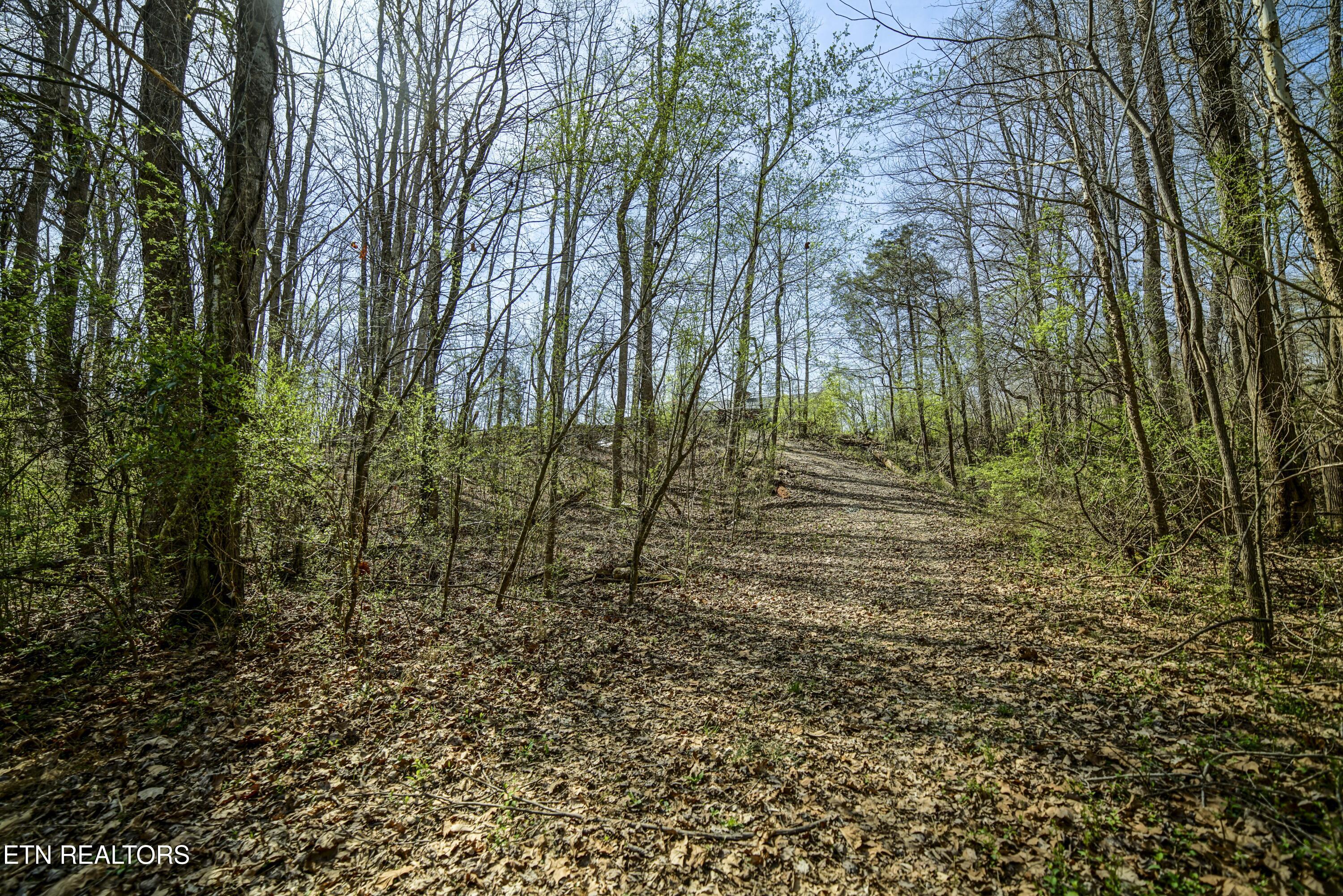 243 Black Oak Road Clinton TN 37716