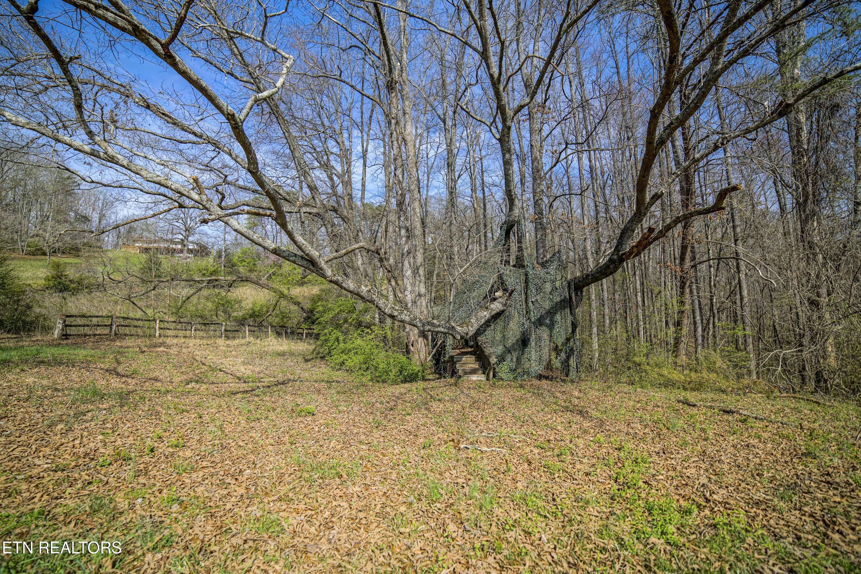 243 Black Oak Road Clinton TN 37716