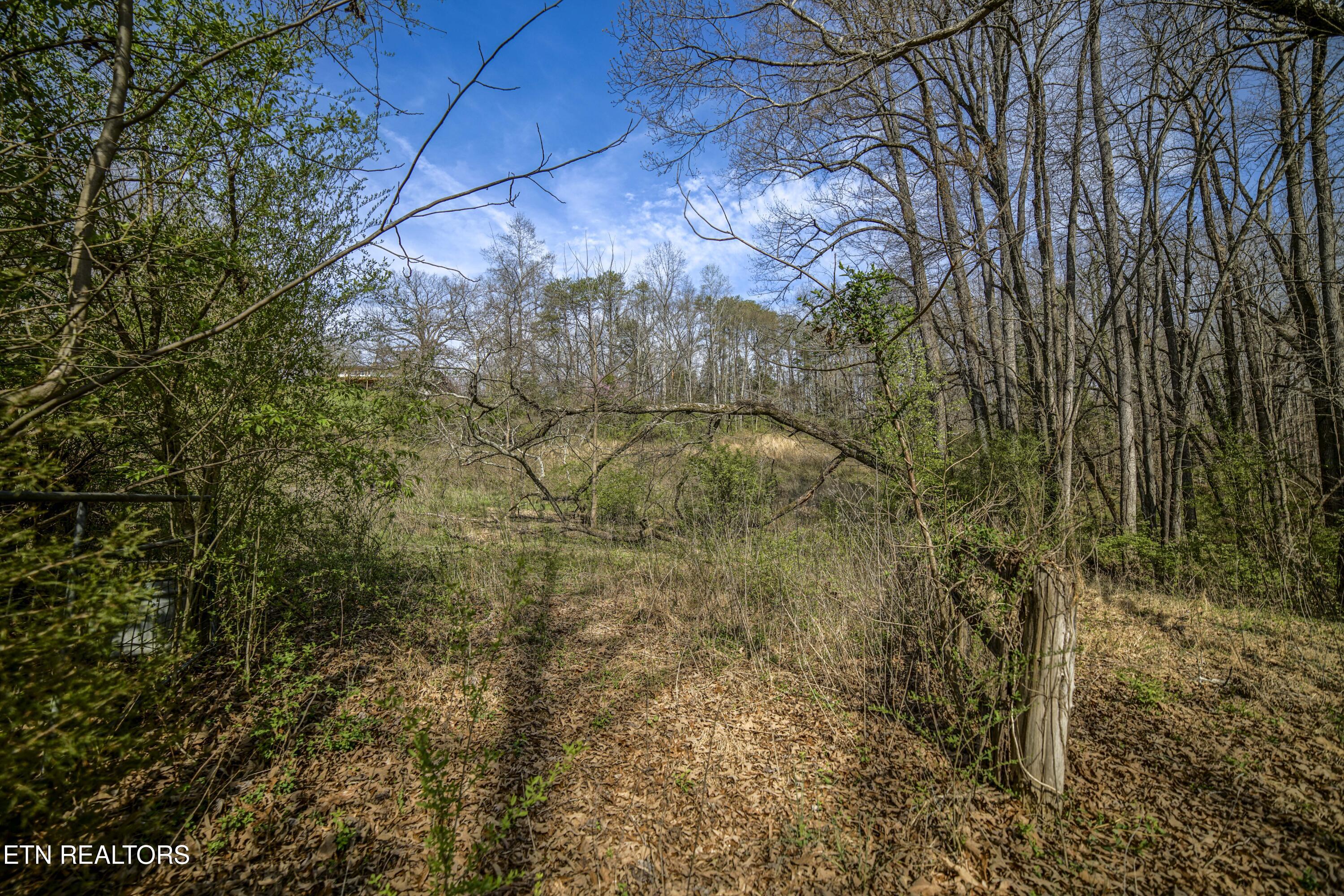 243 Black Oak Road Clinton TN 37716