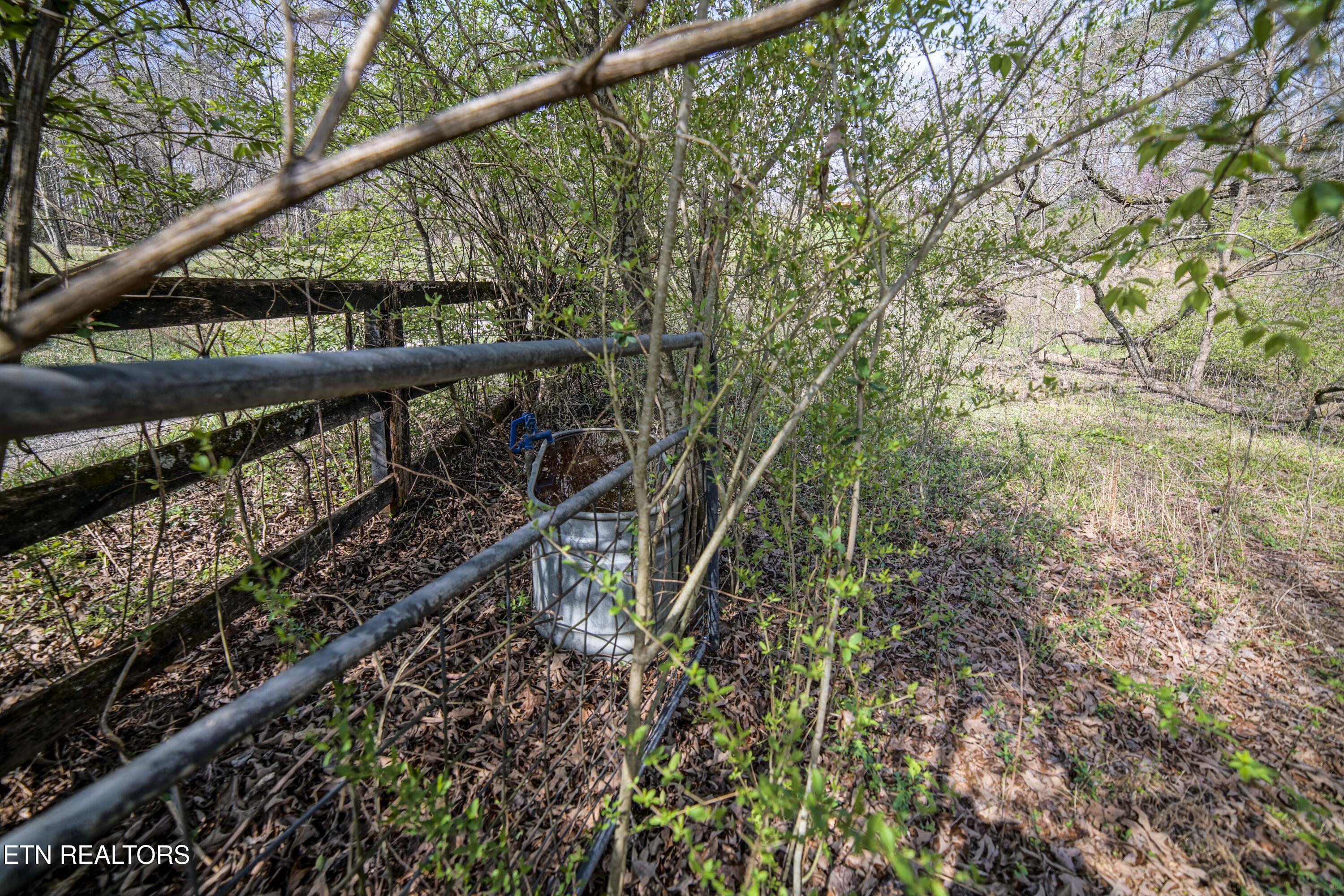 243 Black Oak Road Clinton TN 37716