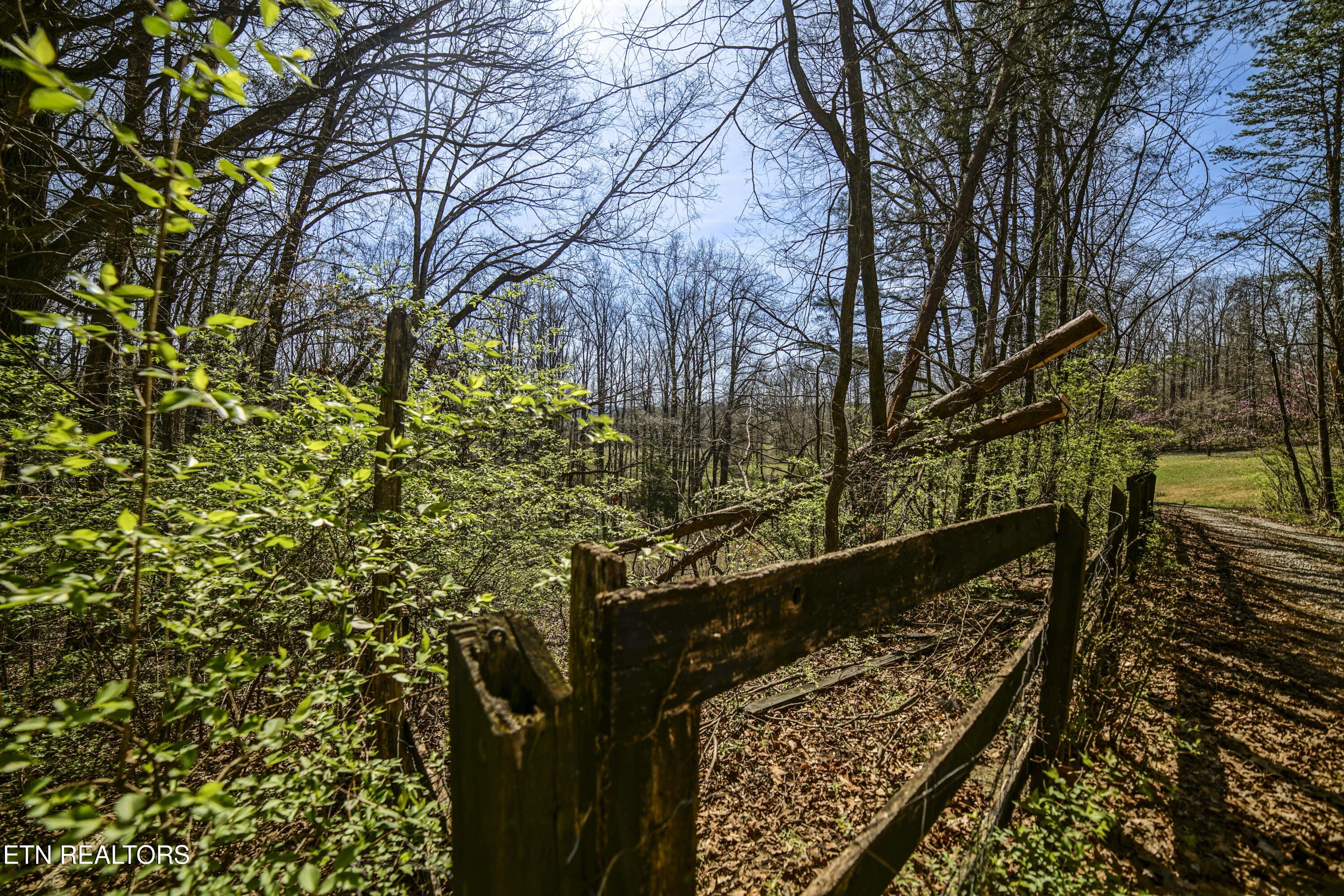 243 Black Oak Road Clinton TN 37716