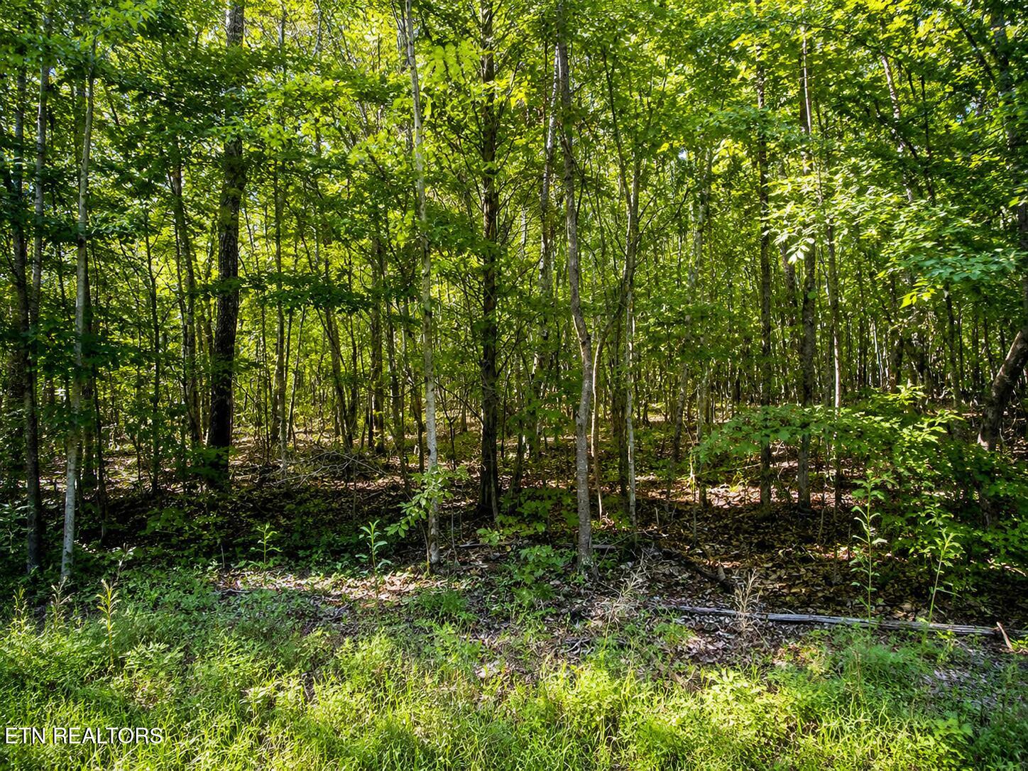 Lot 5 Keylon Hollow Road Ten Mile TN 37880