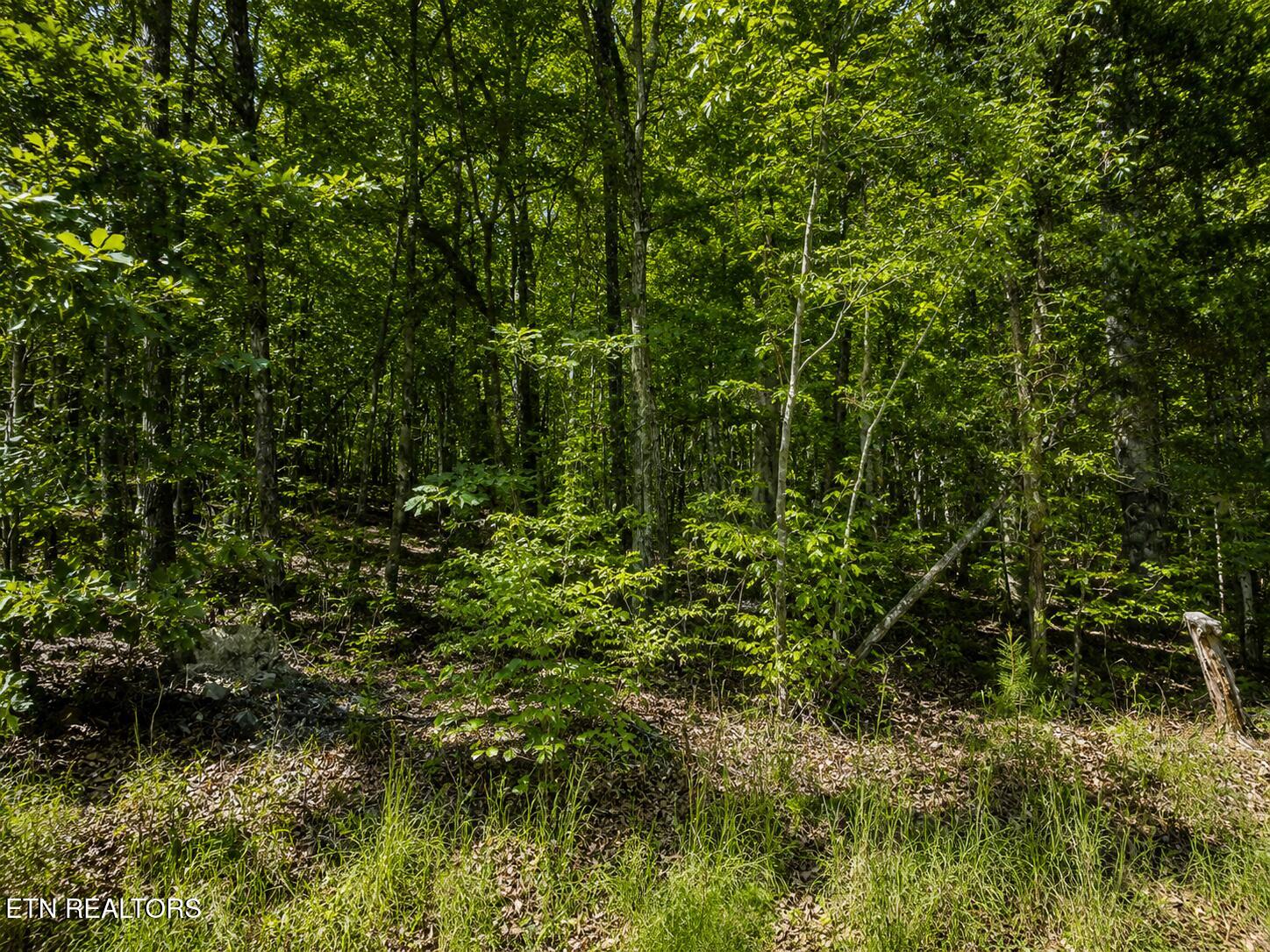 Lot 5 Keylon Hollow Road Ten Mile TN 37880