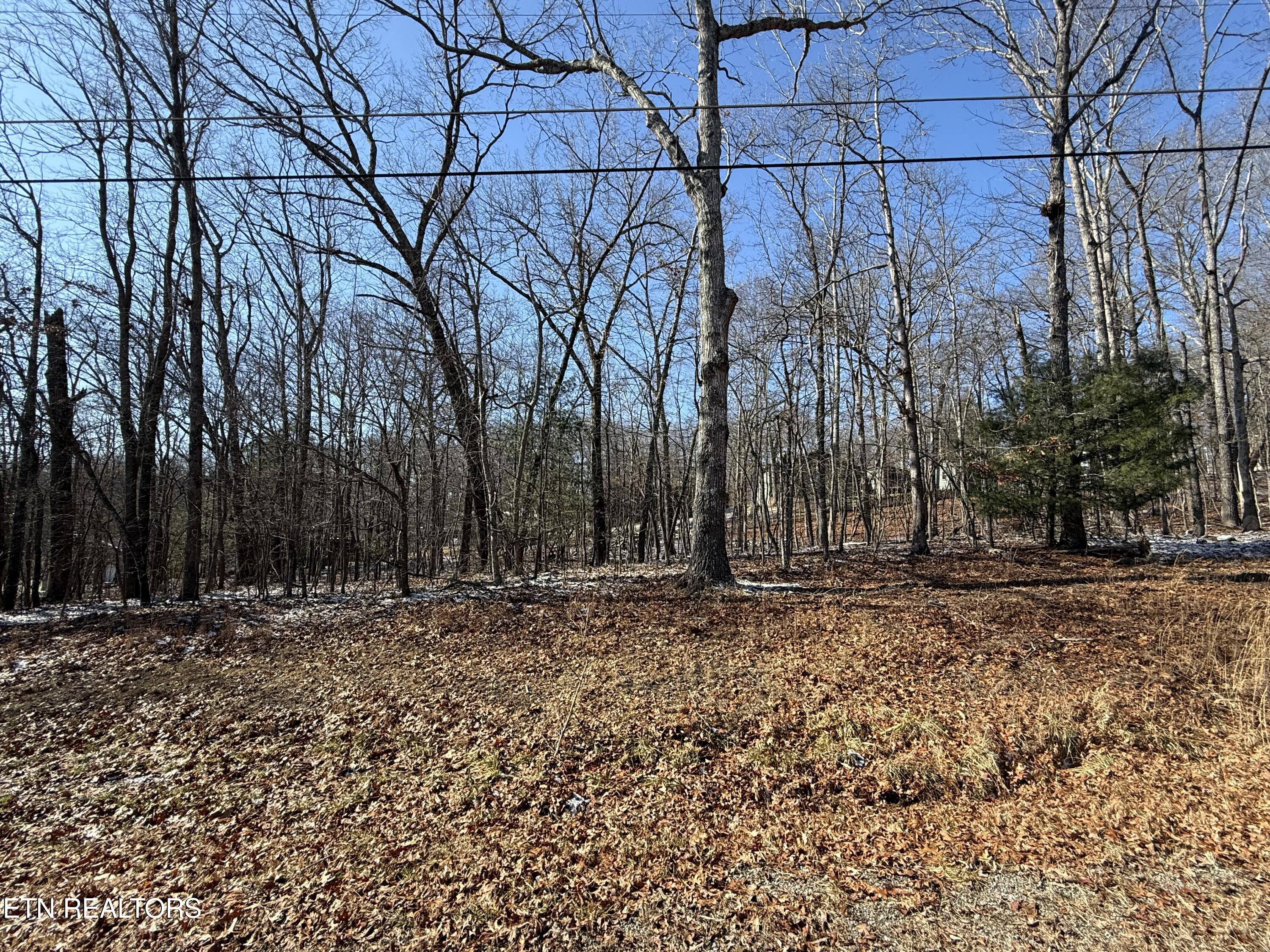 116 Kings Down Drive Crossville TN 38558