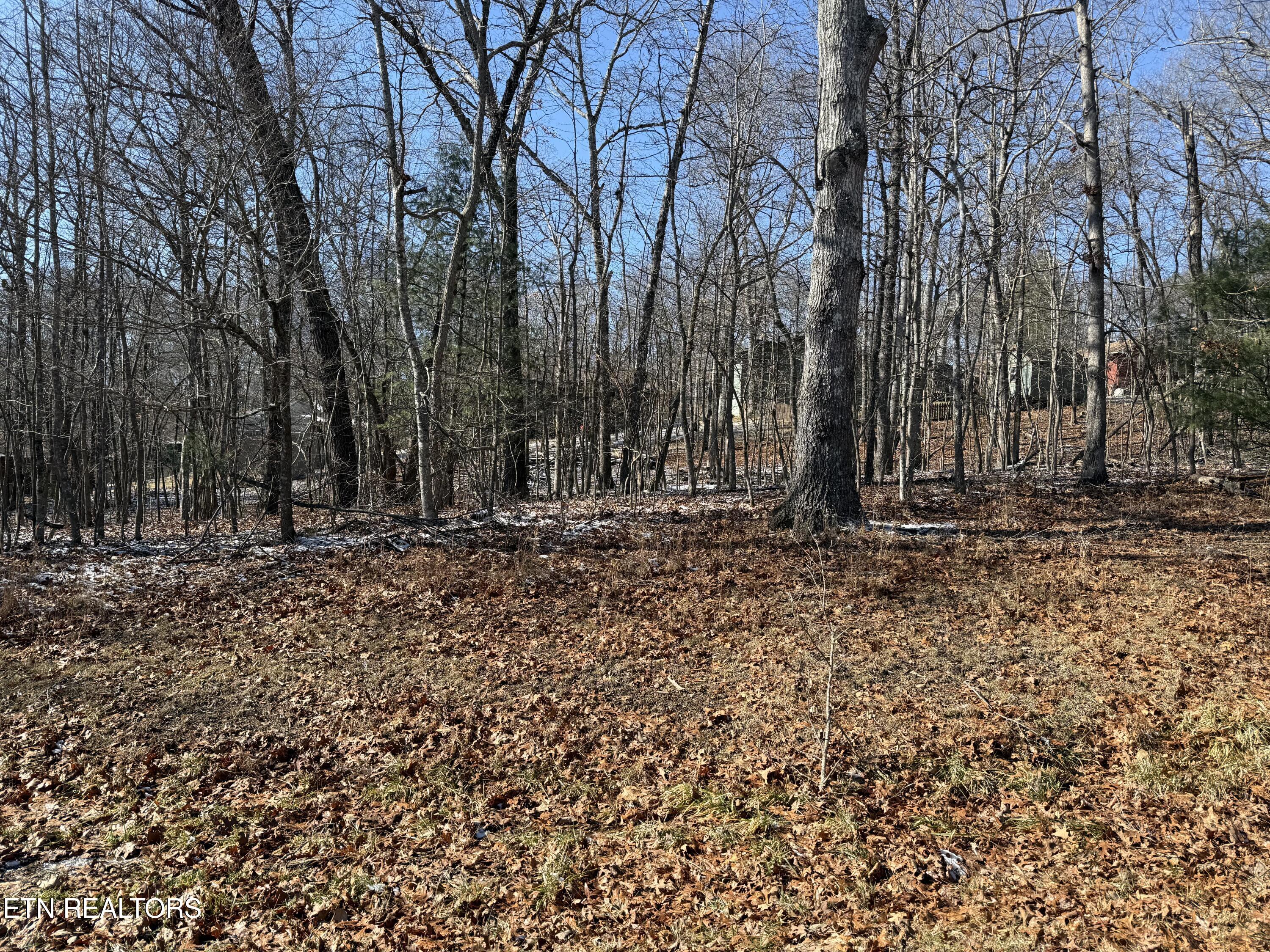 116 Kings Down Drive Crossville TN 38558