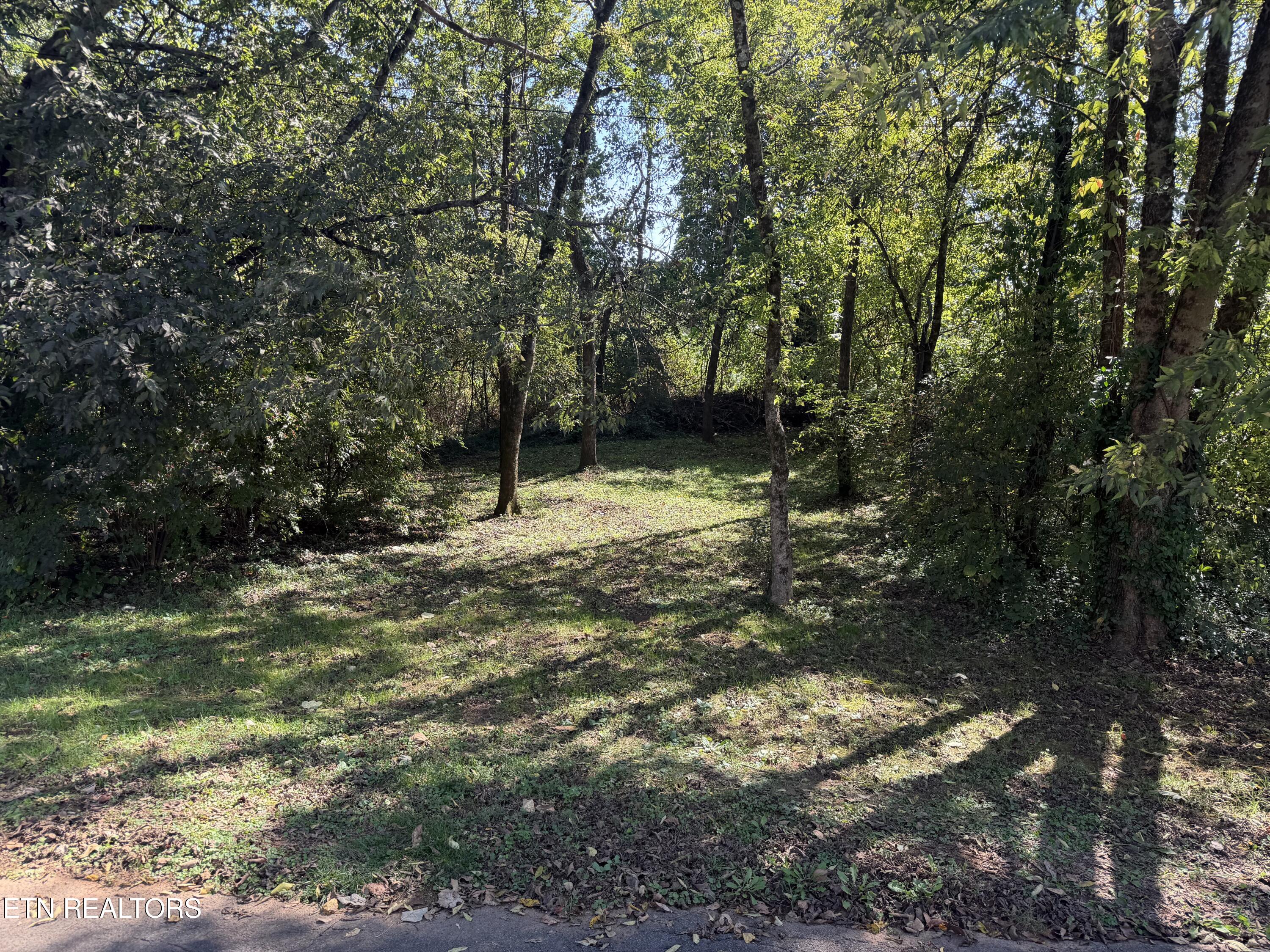 7010 Anderson Lane Knoxville TN 37918