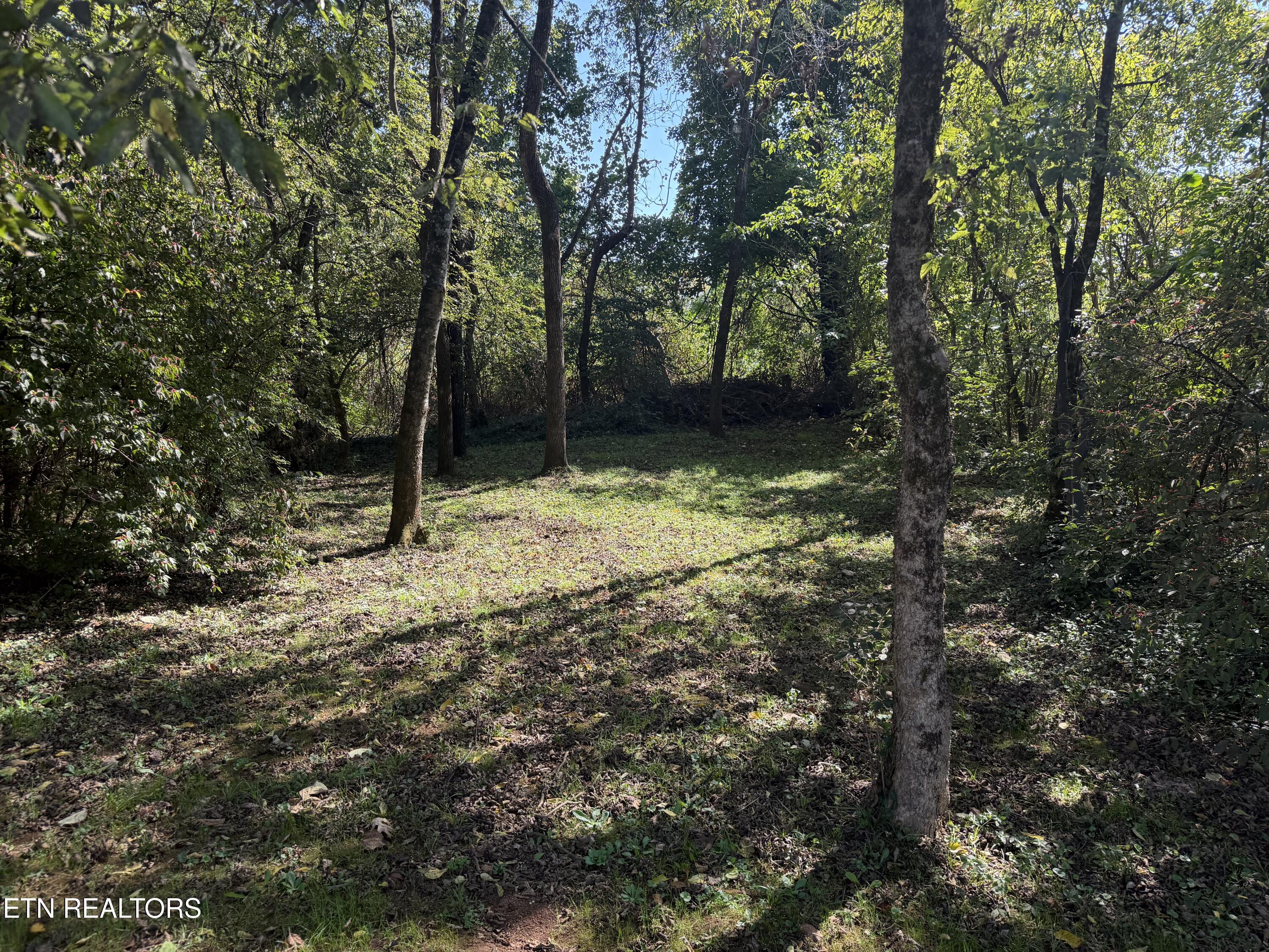 7010 Anderson Lane Knoxville TN 37918