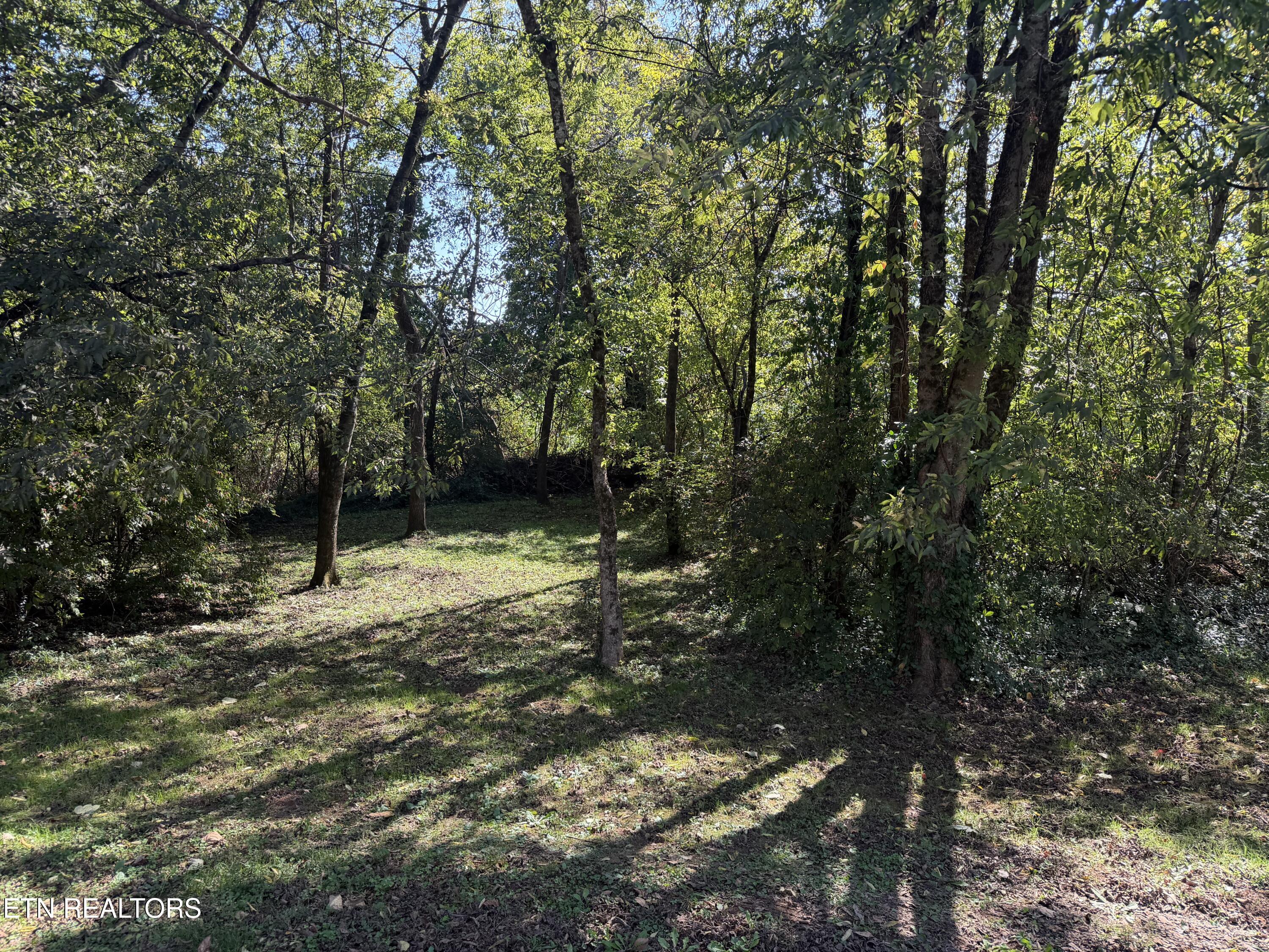 7010 Anderson Lane Knoxville TN 37918