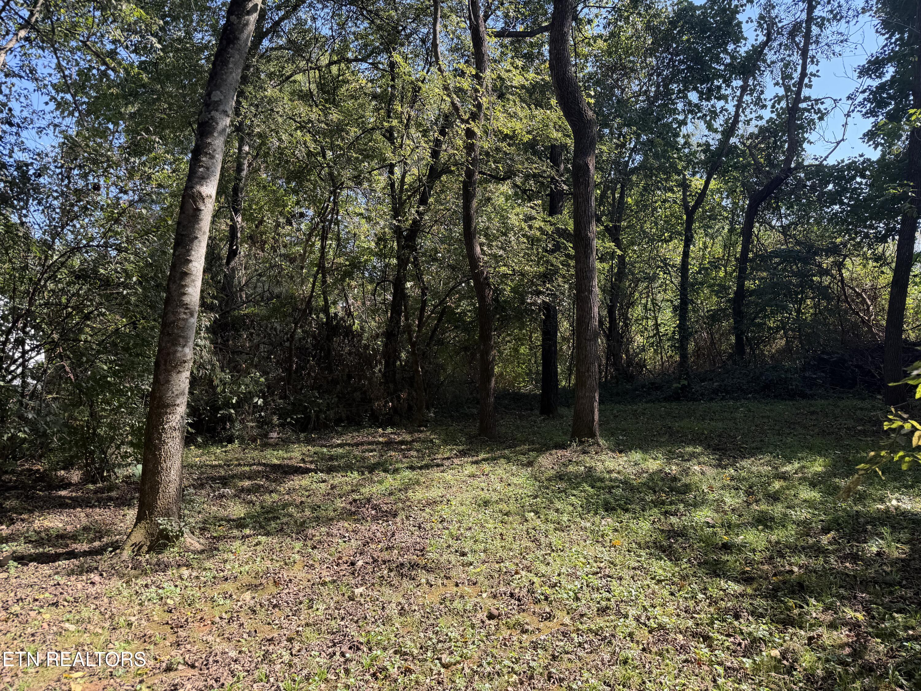 7010 Anderson Lane Knoxville TN 37918