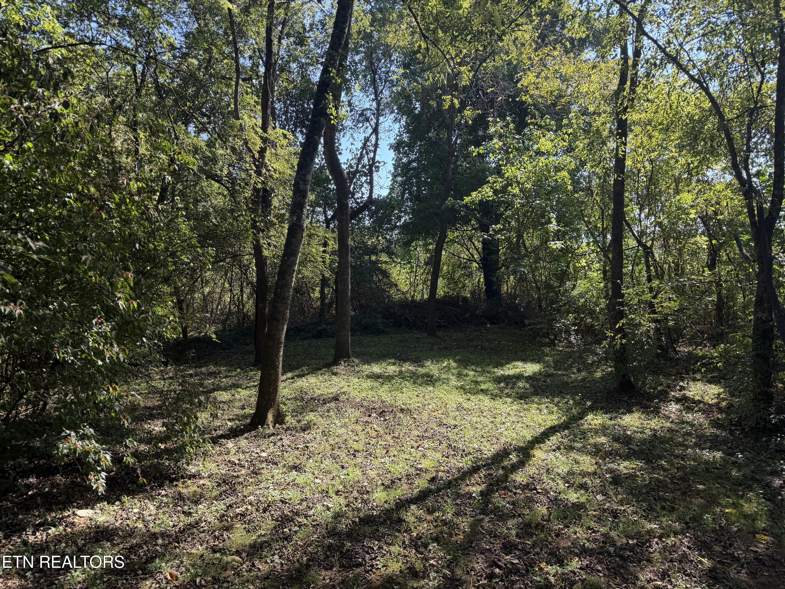 7010 Anderson Lane Knoxville TN 37918
