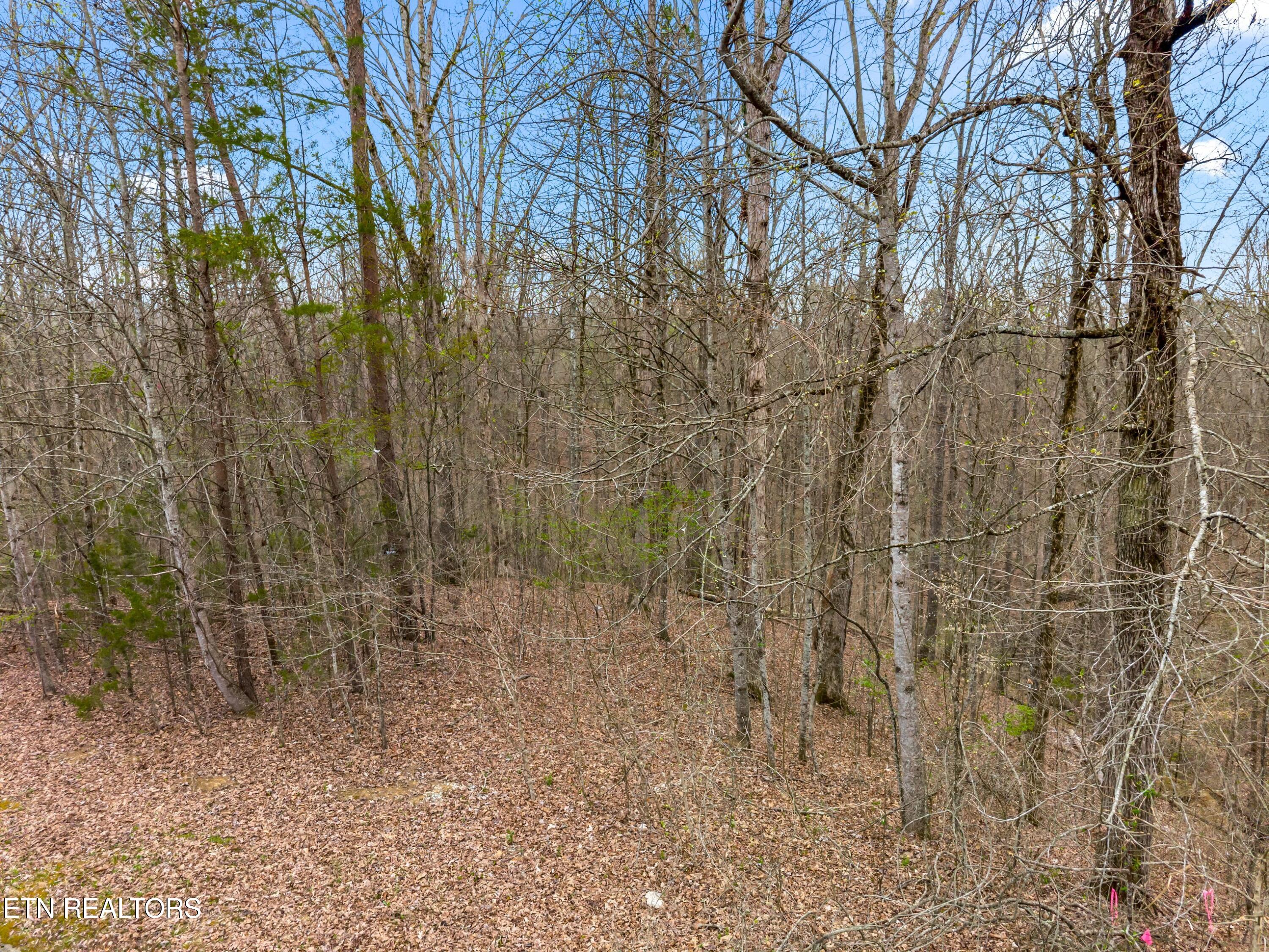 Lot 107 Turtle Dove Trail Dandridge TN 37725