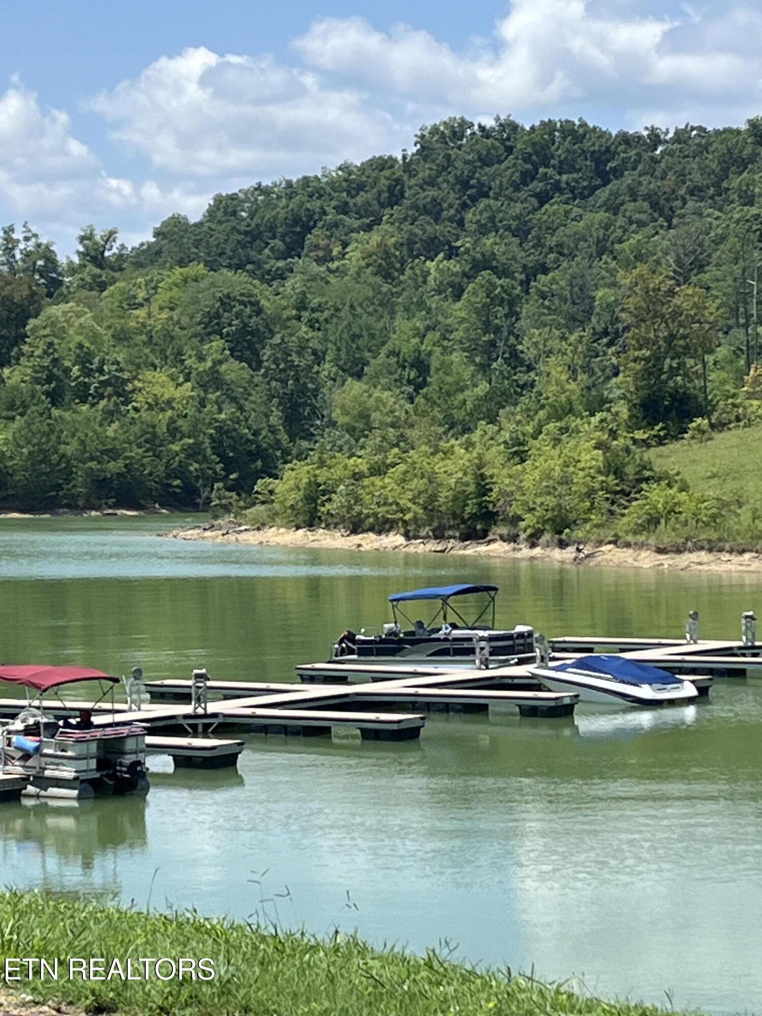 Stone Bridge Drive Dandridge TN 37725