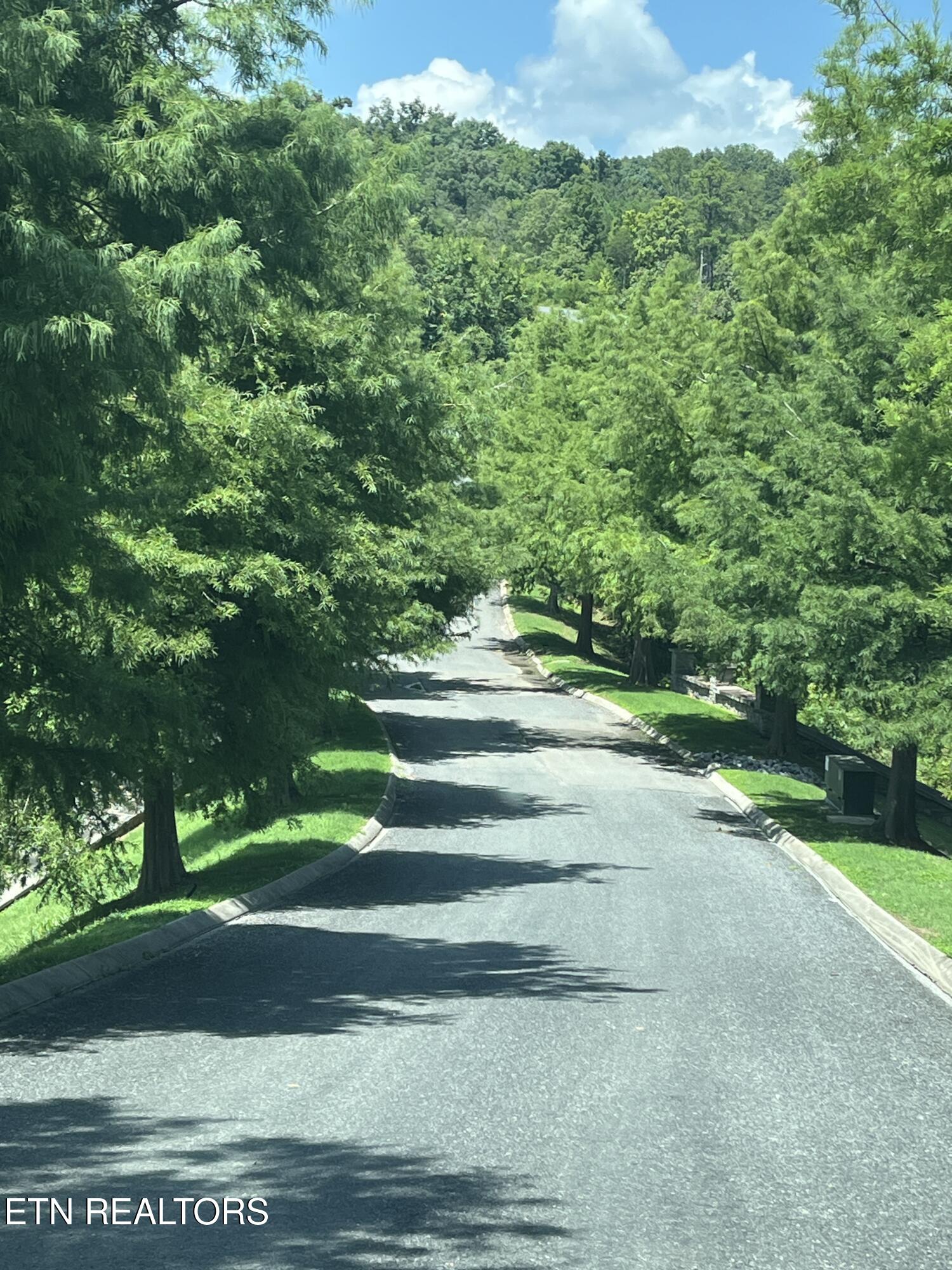 Stone Bridge Drive Dandridge TN 37725