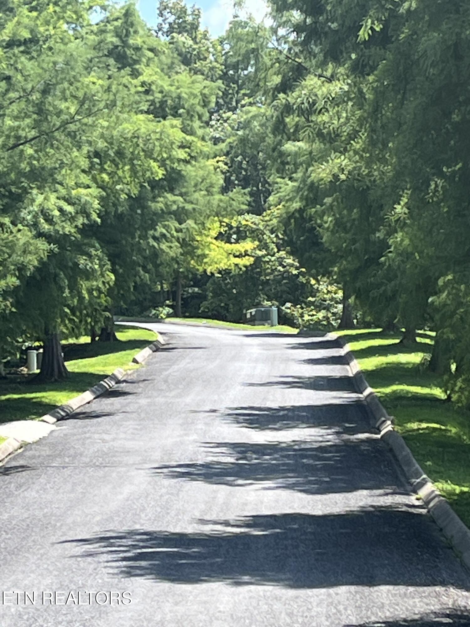 Stone Bridge Drive Dandridge TN 37725
