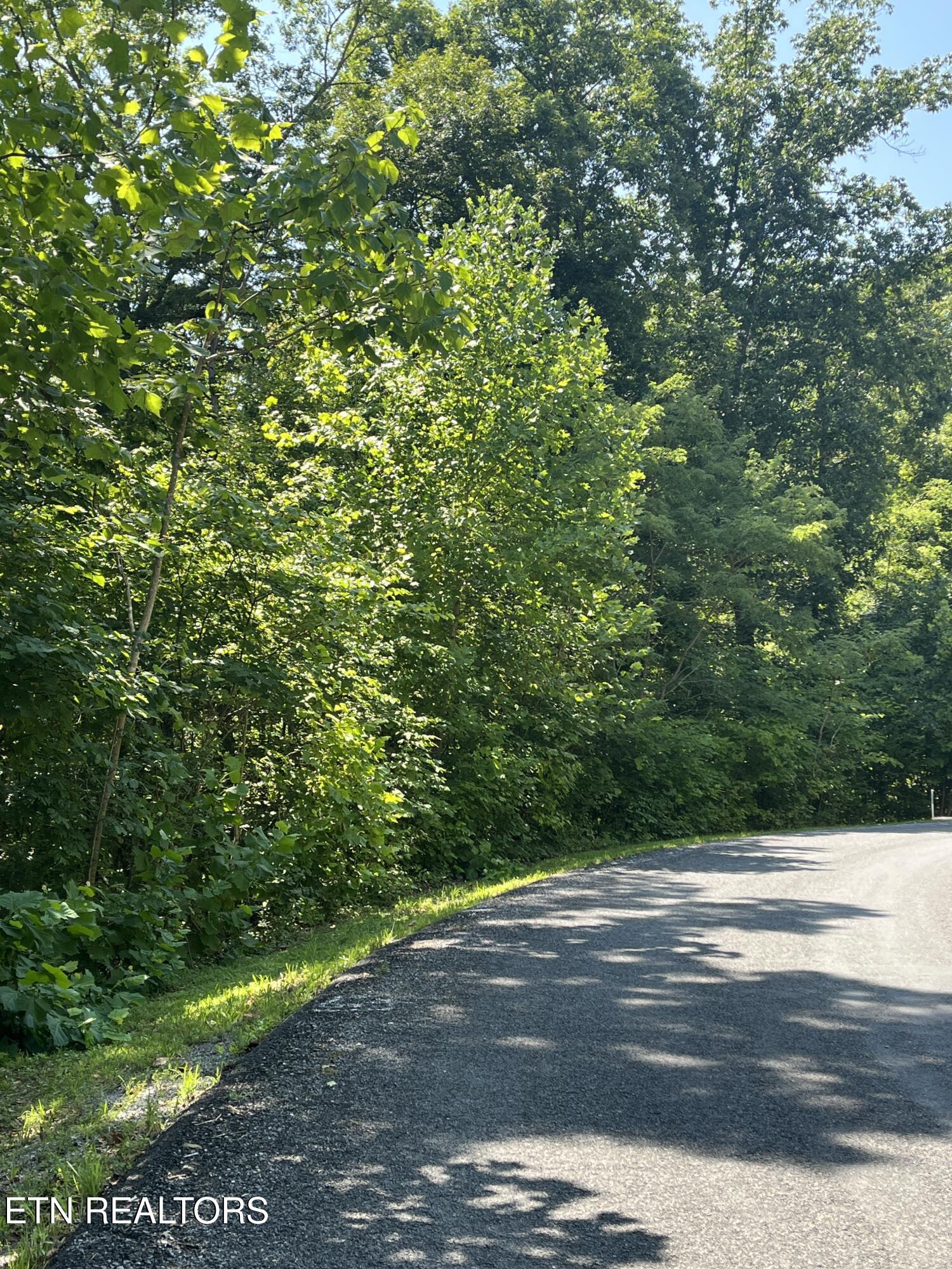 Stone Bridge Drive Dandridge TN 37725
