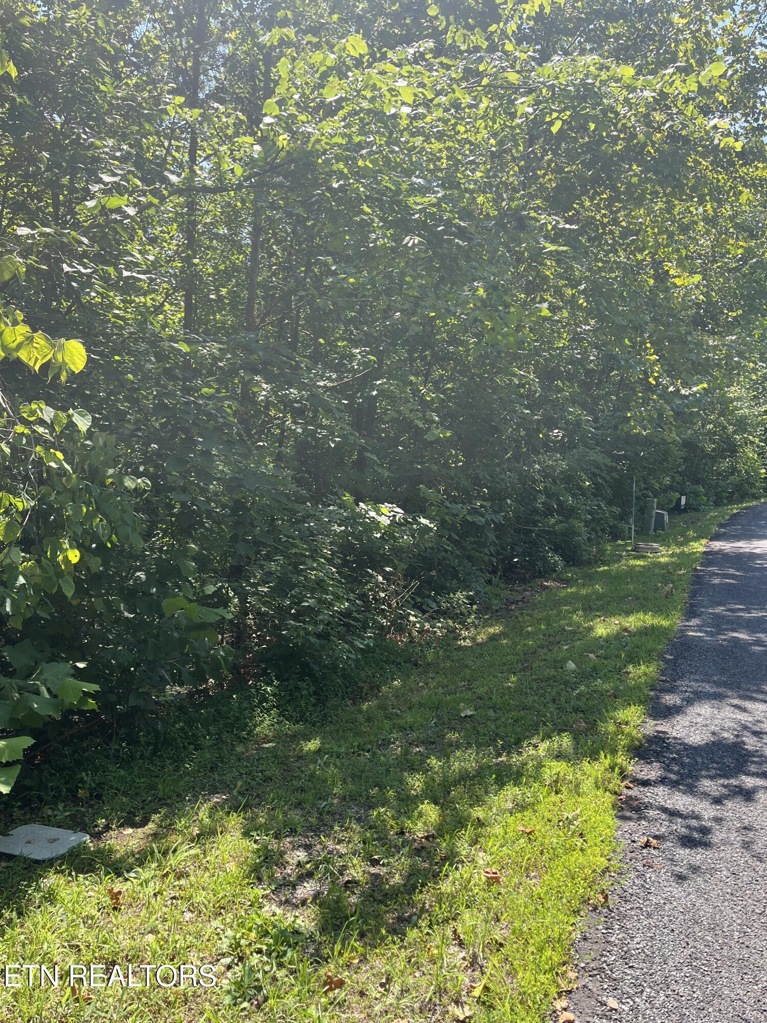 Stone Bridge Drive Dandridge TN 37725