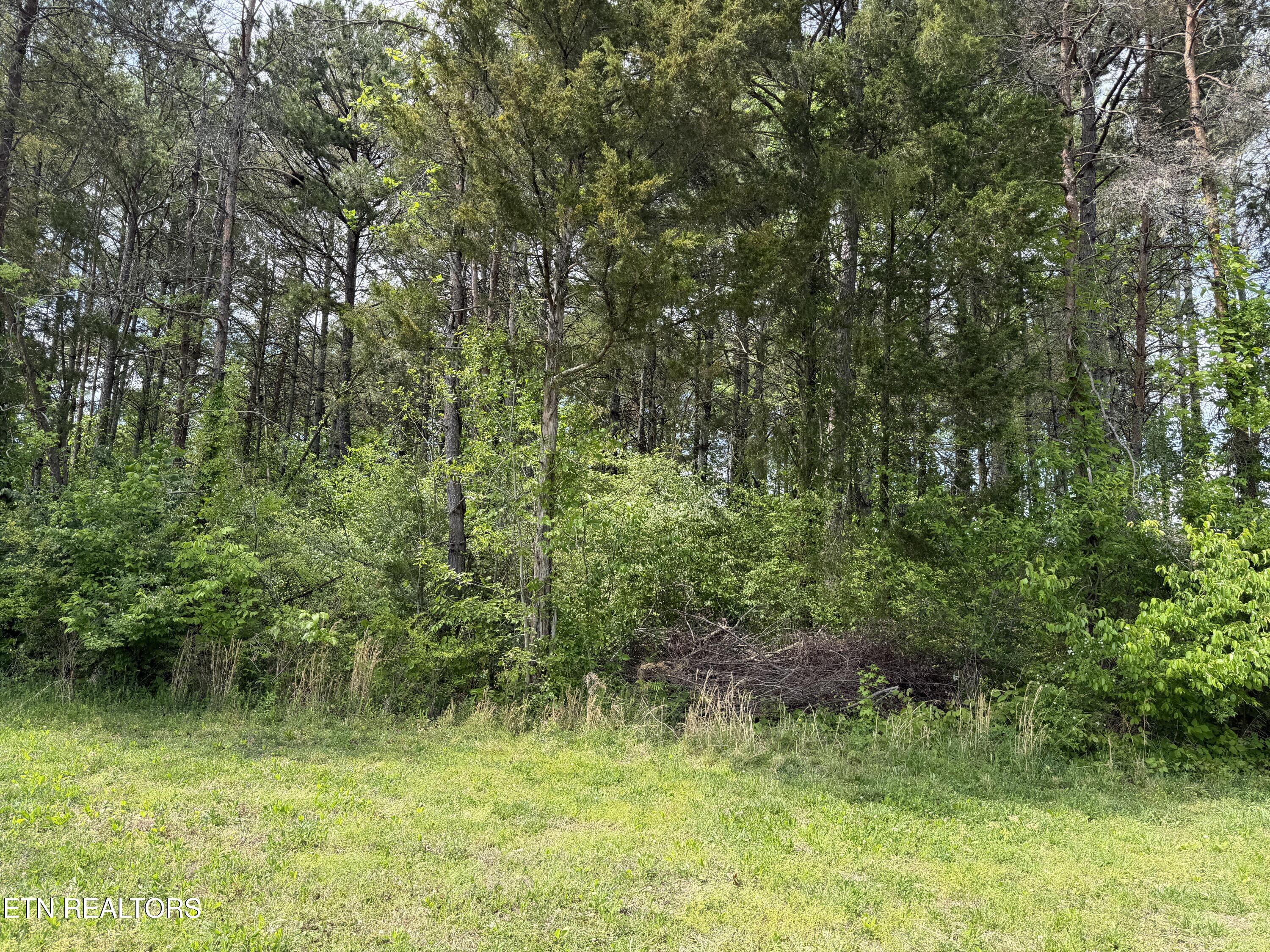 1673 Harbor Crest Way Knoxville TN 37922