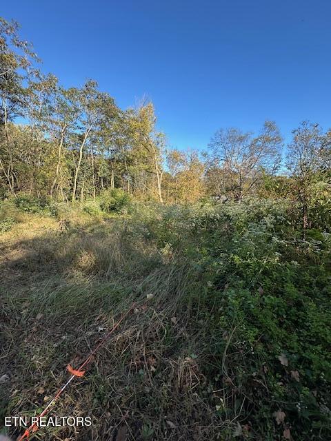 Lot 21 Mayfield Avenue Knoxville TN 37920
