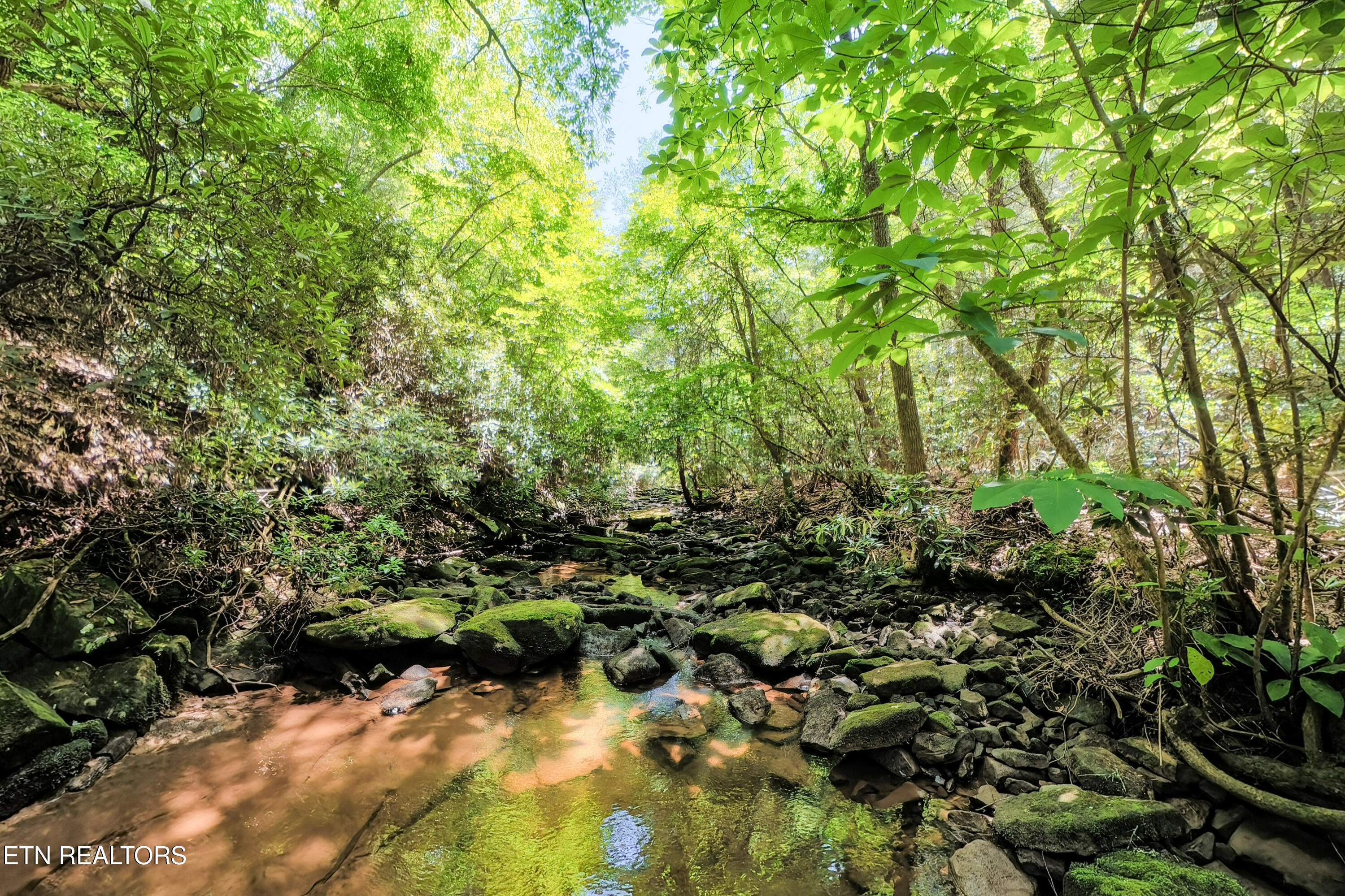 Leffle Webb Road Crossville TN 38572