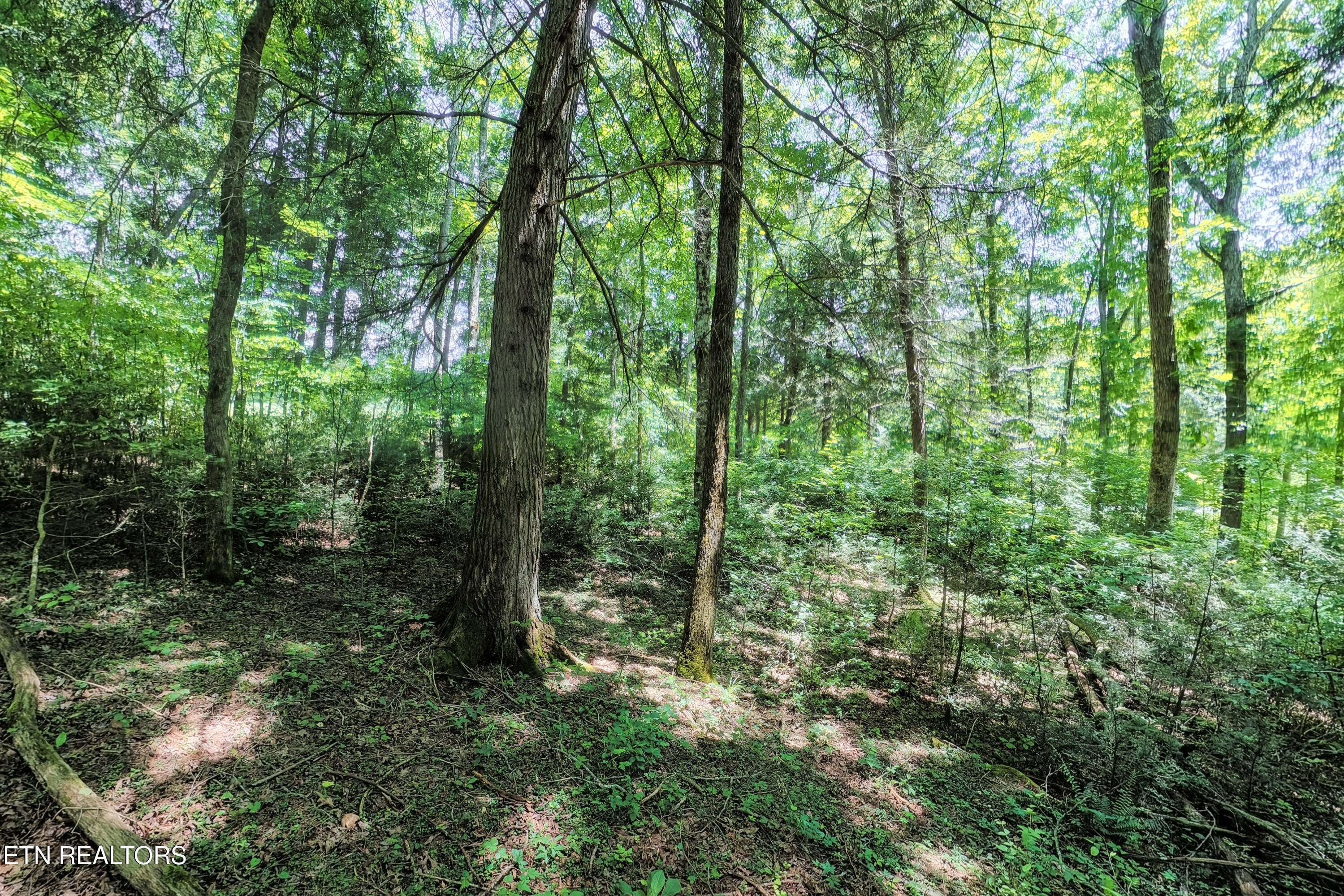 Leffle Webb Road Crossville TN 38572