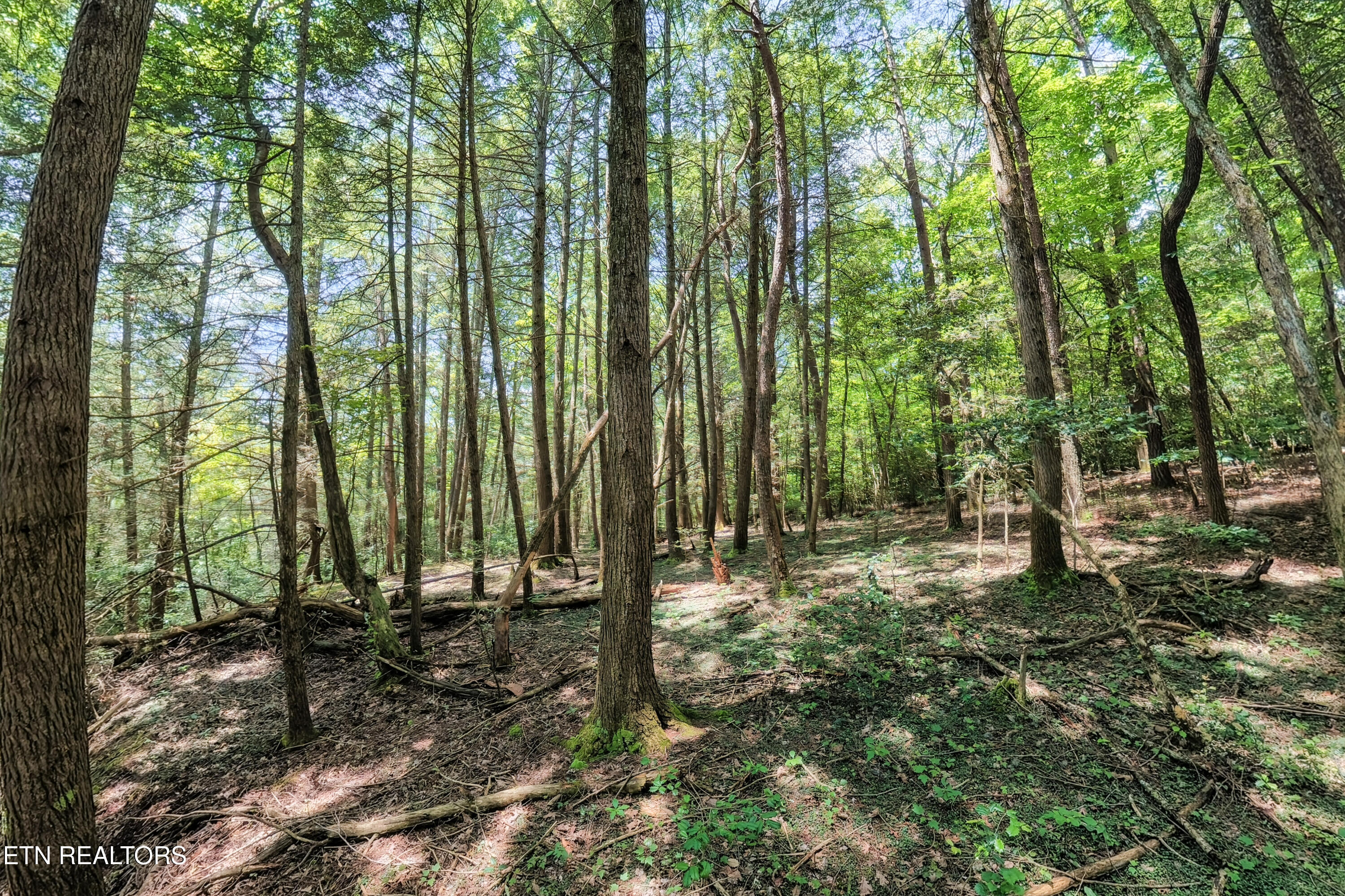 Leffle Webb Road Crossville TN 38572