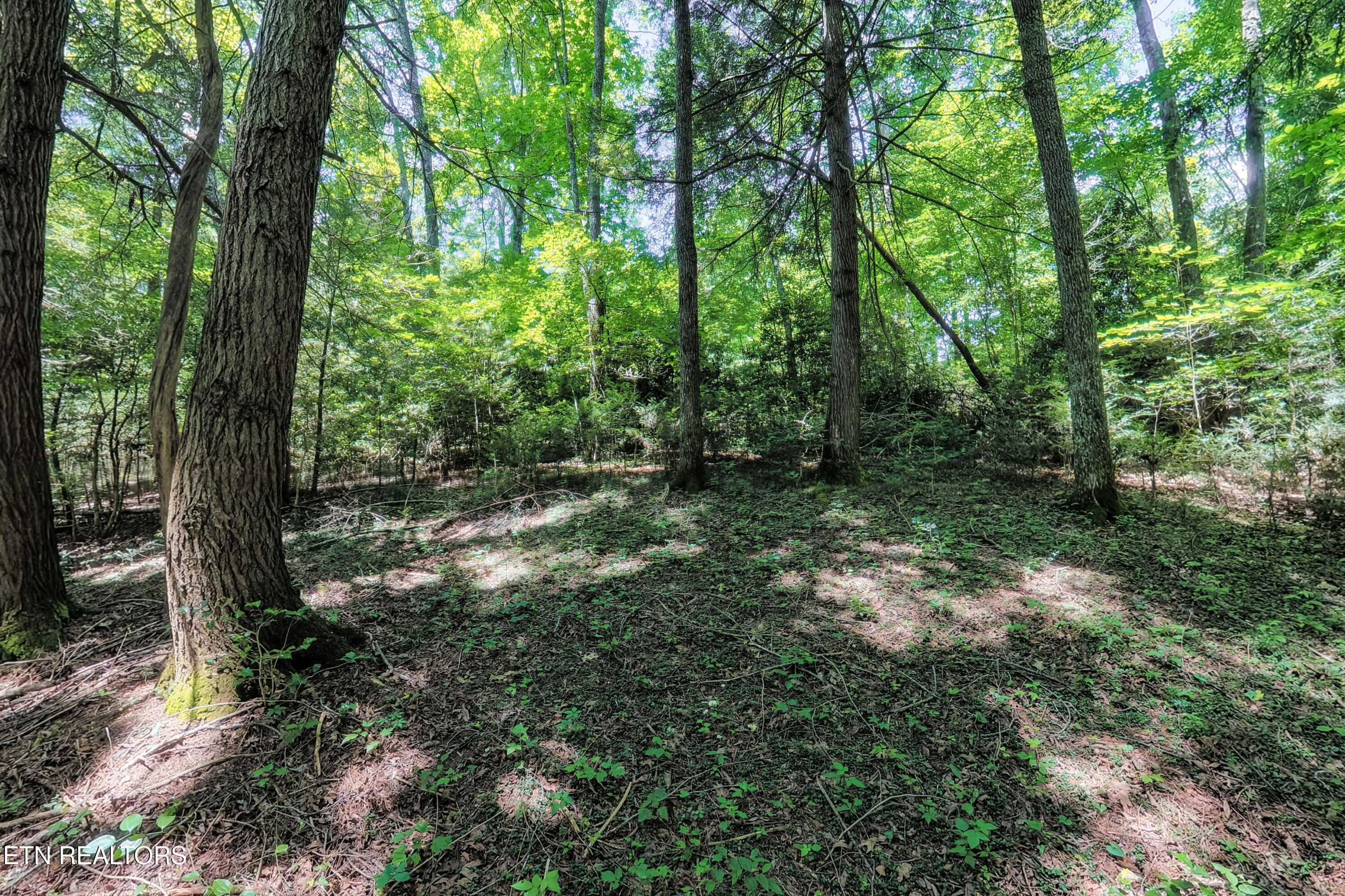 Leffle Webb Road Crossville TN 38572