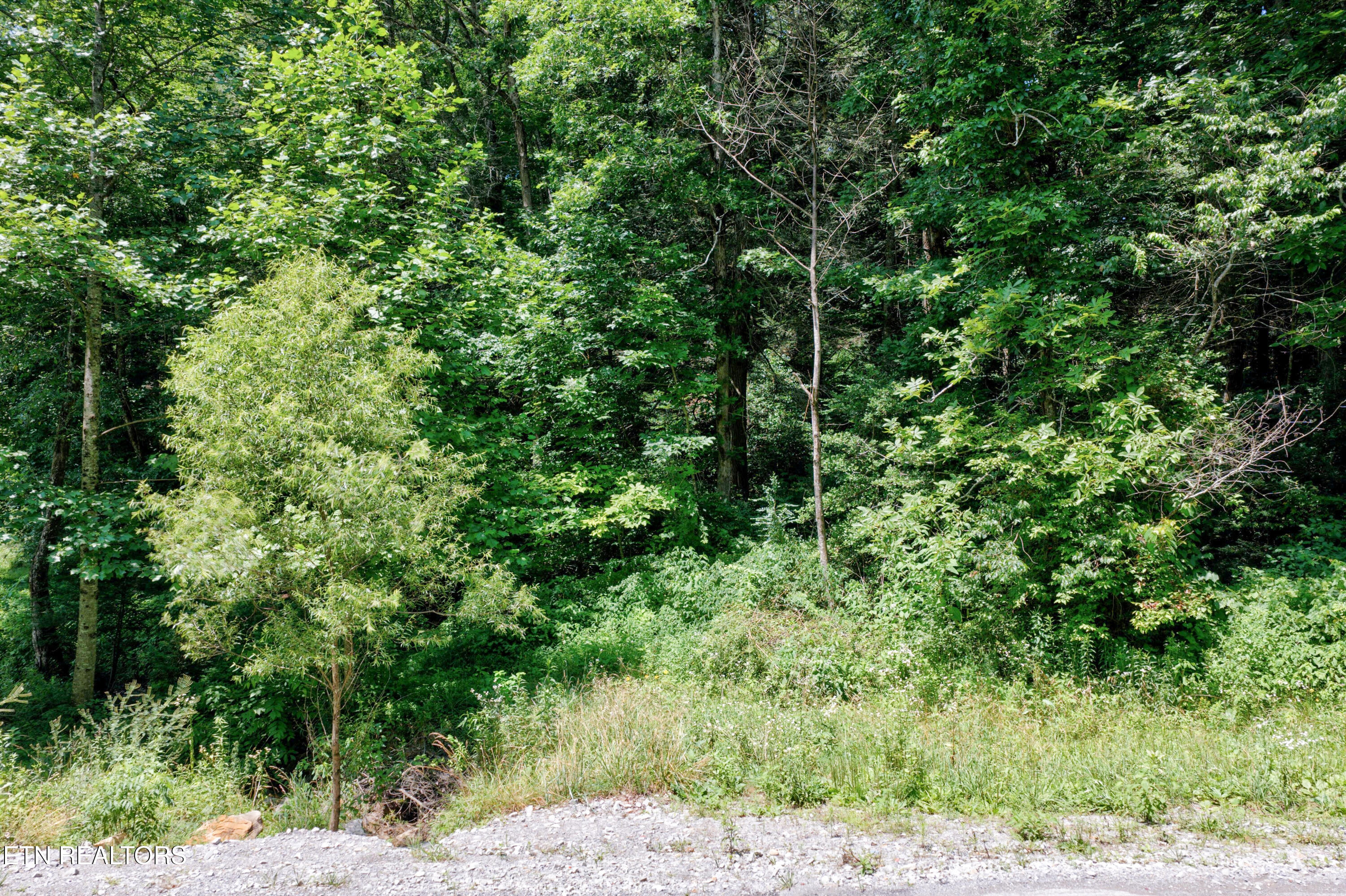 Leffle Webb Road Crossville TN 38572