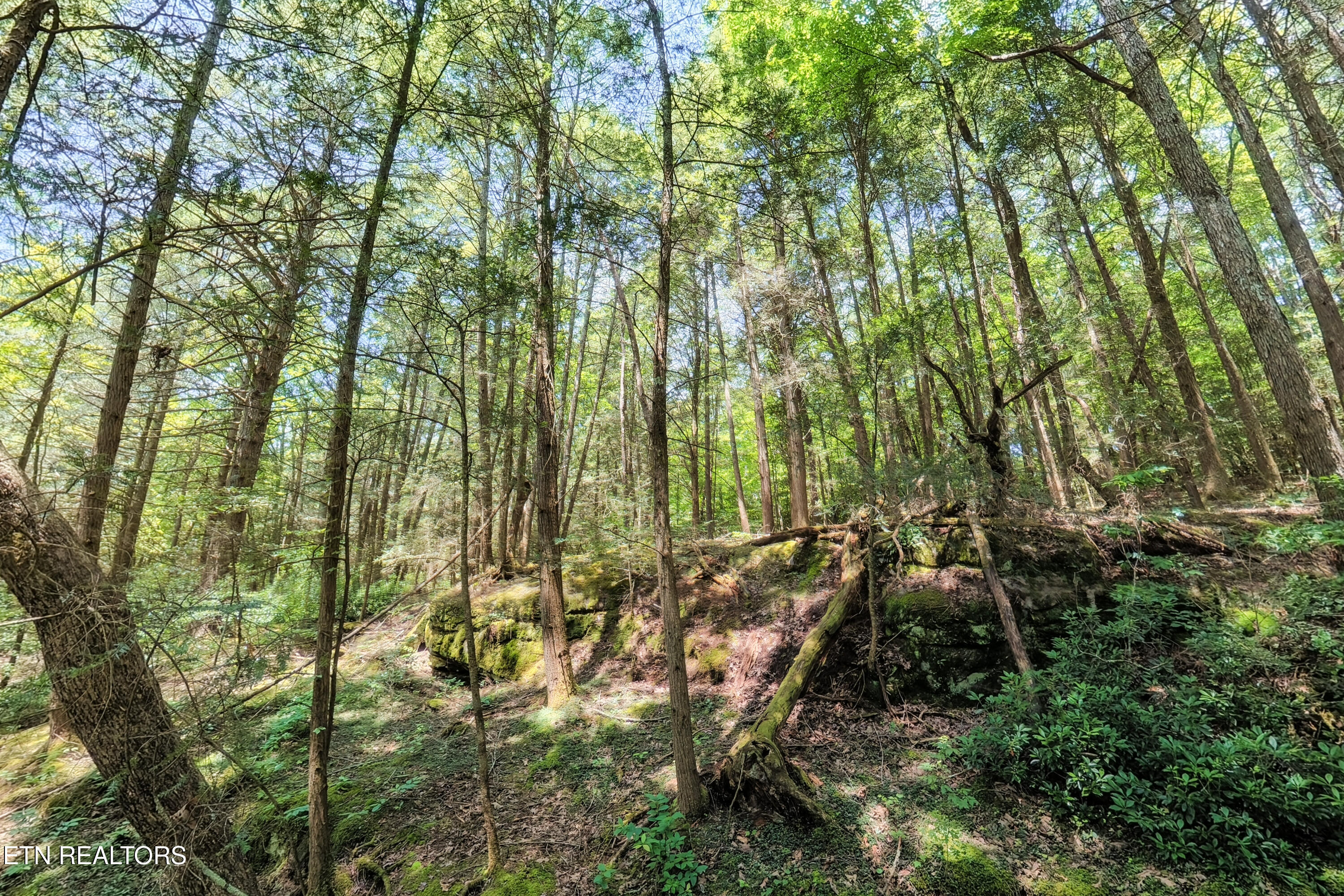 Leffle Webb Road Crossville TN 38572