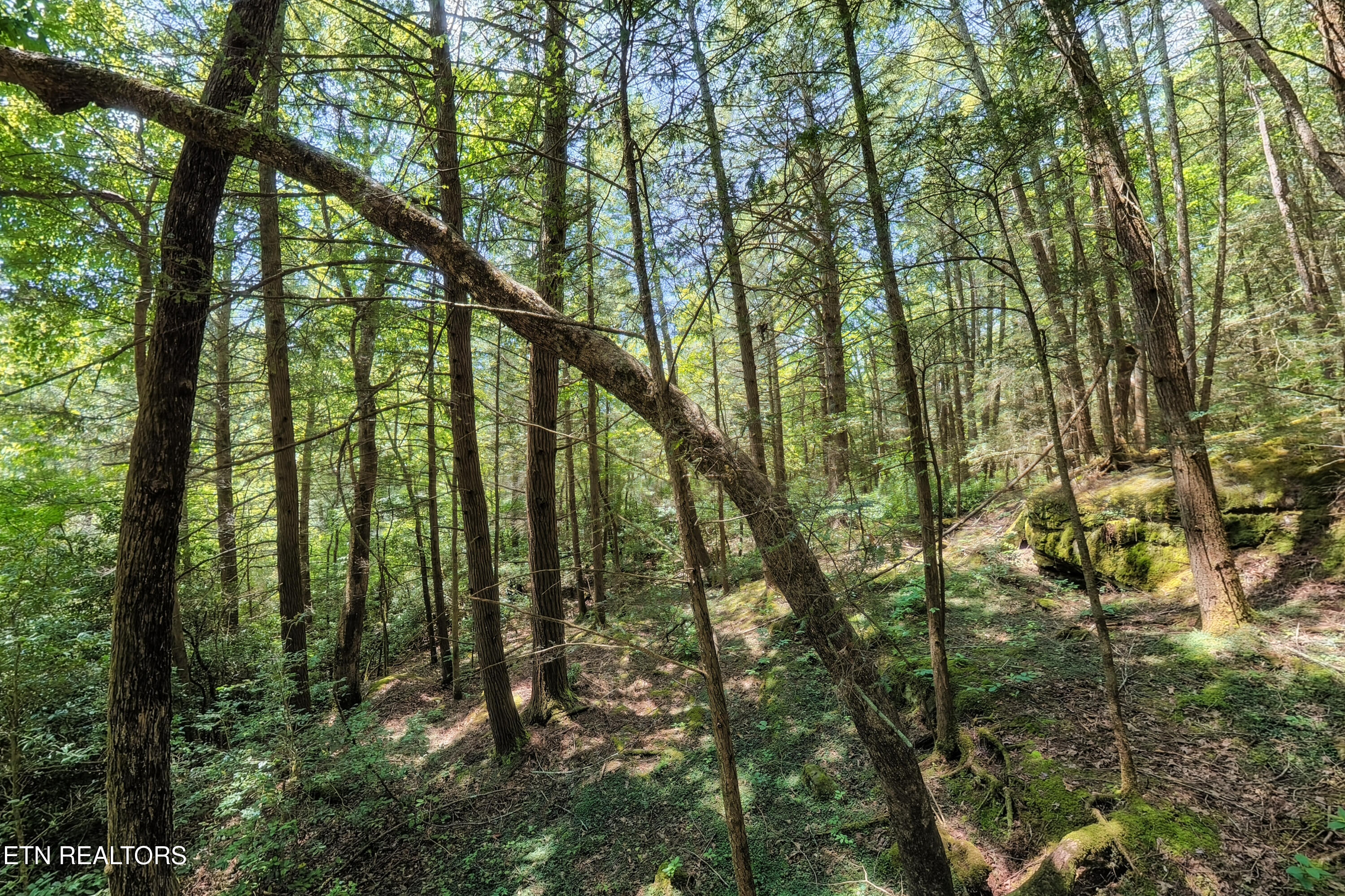 Leffle Webb Road Crossville TN 38572