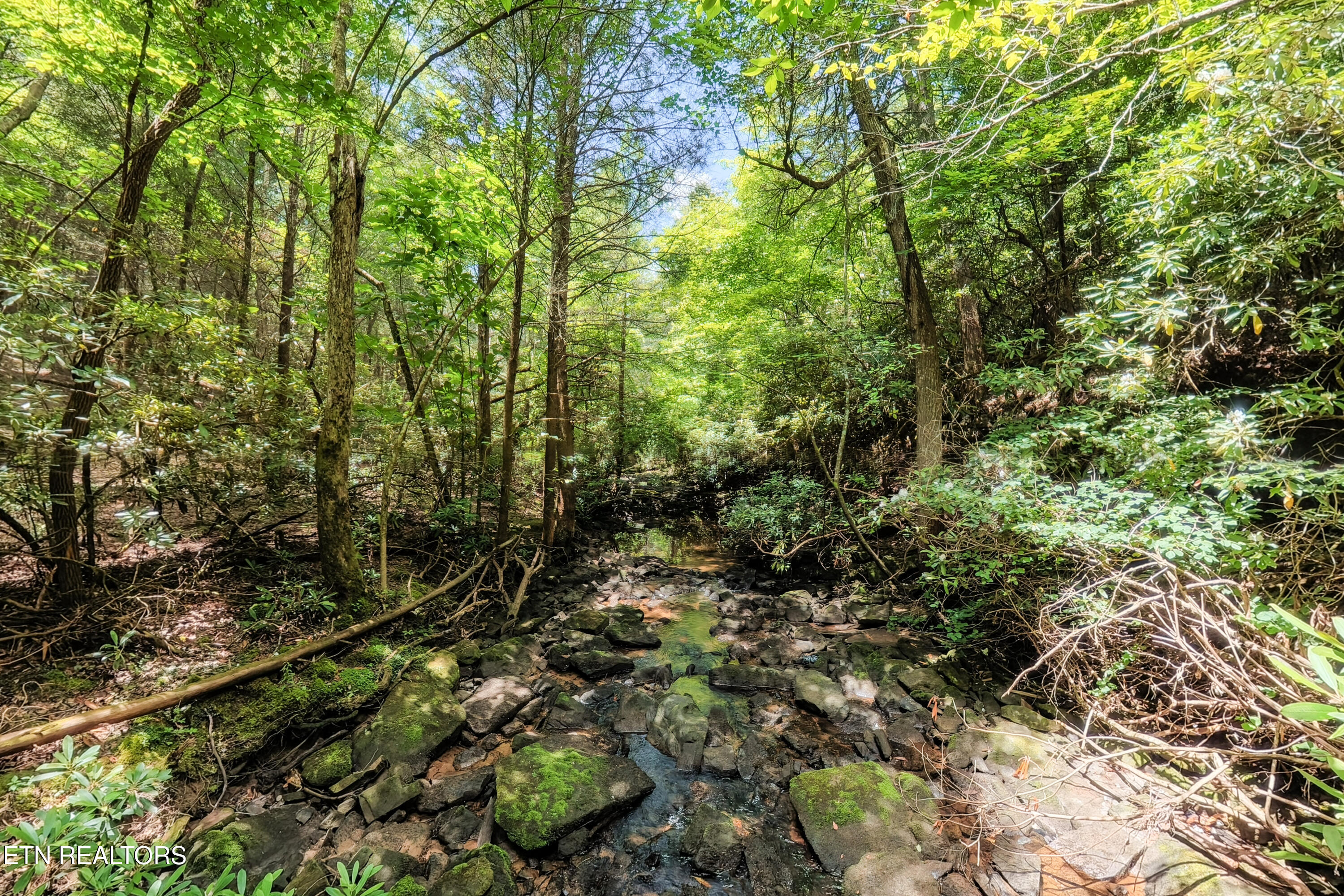 Leffle Webb Road Crossville TN 38572