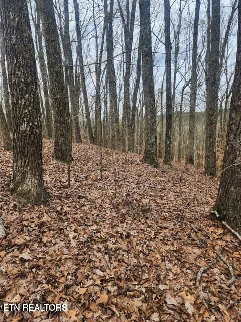 Upper Concord Road Ten Mile TN 37880