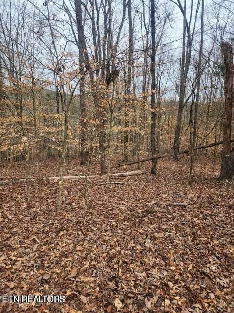 Upper Concord Road Ten Mile TN 37880