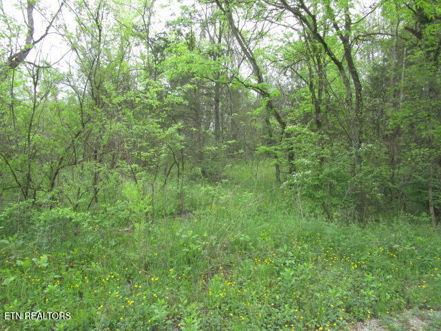 Silent Lane Rutledge TN 37861