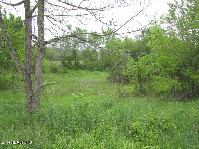 Silent Lane Rutledge TN 37861