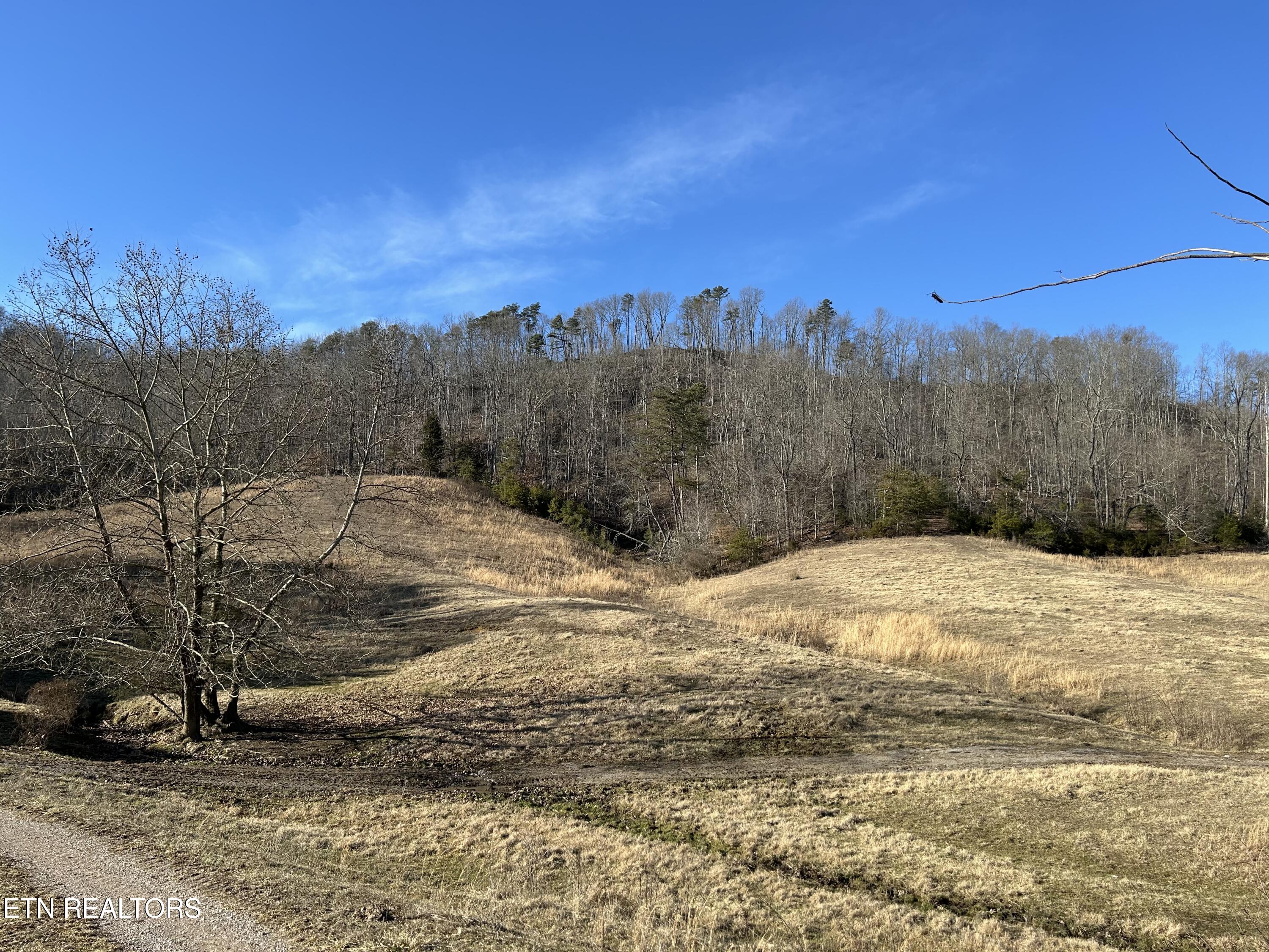 E Highway 61 Luttrell TN 37779