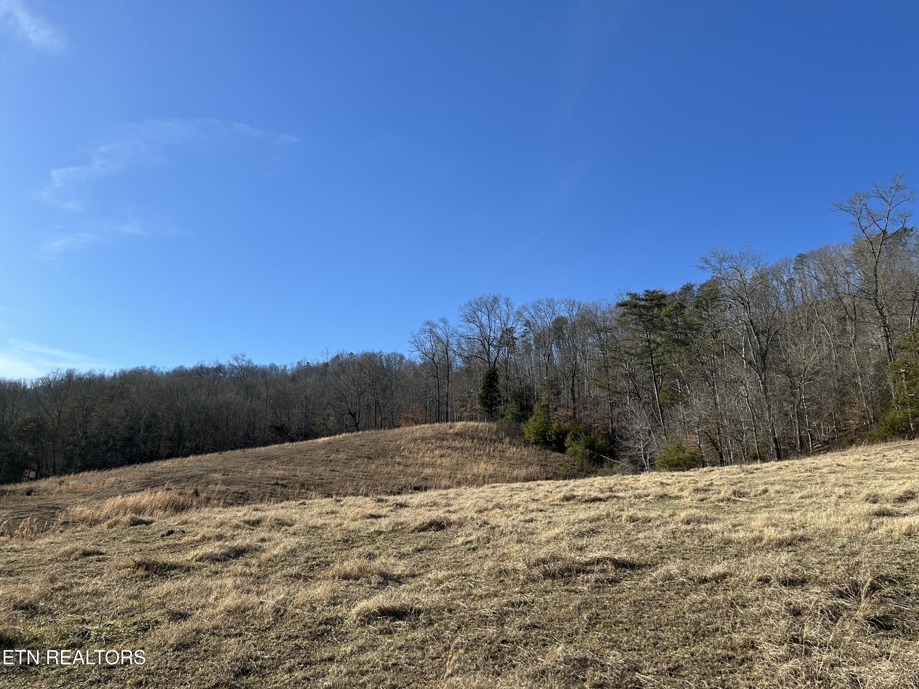 E Highway 61 Luttrell TN 37779