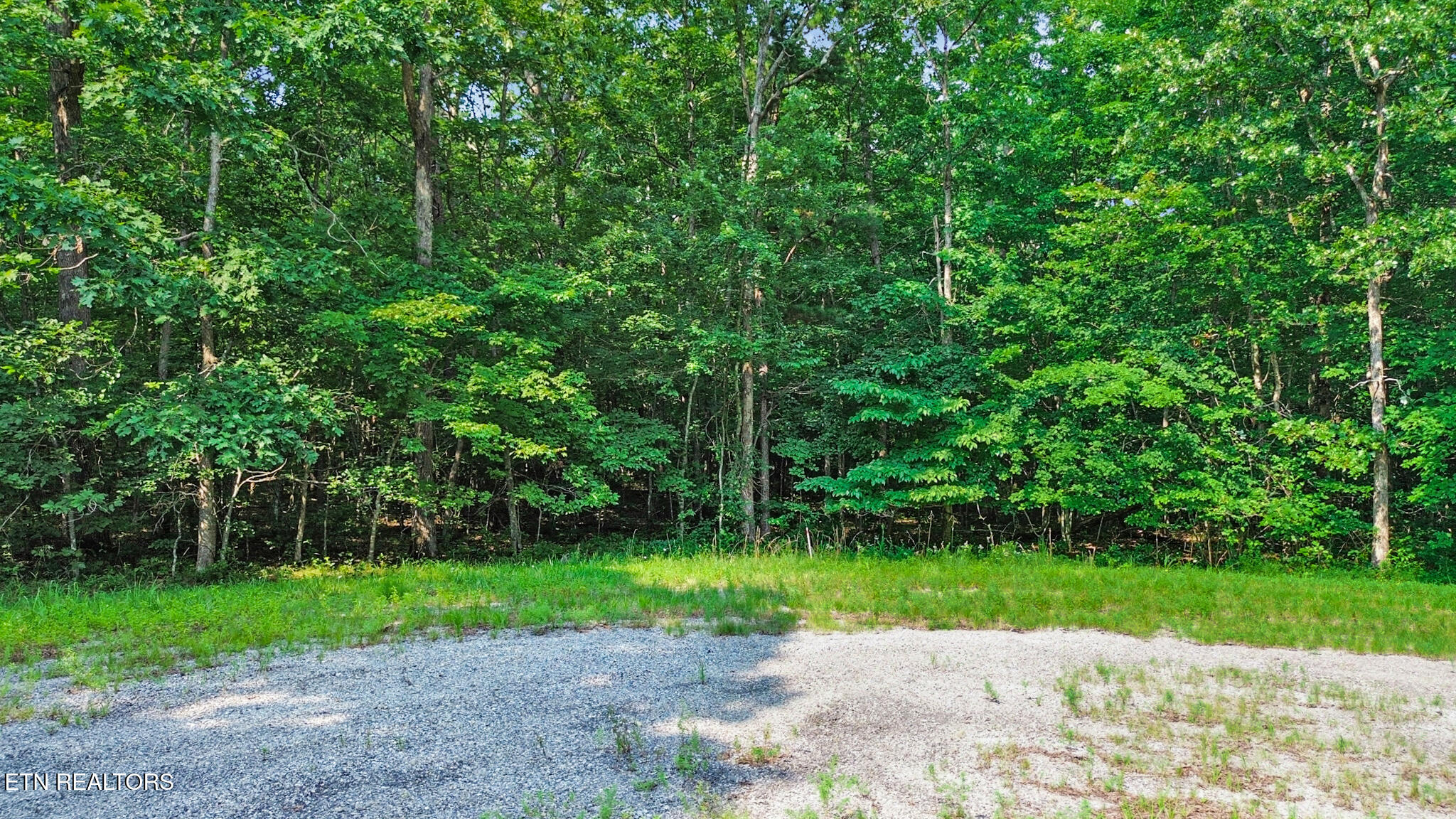 0 Anne Place Monterey TN 38574