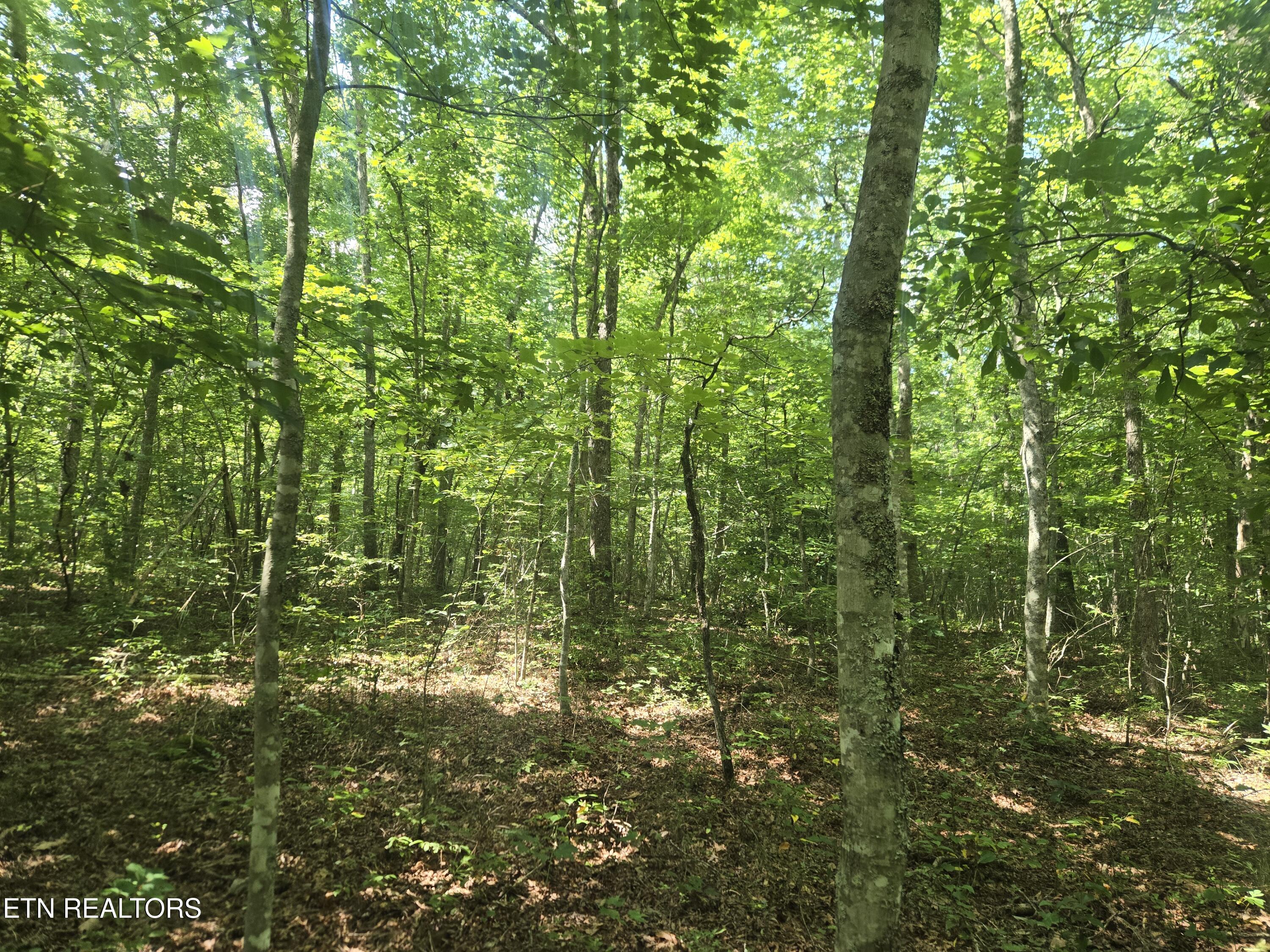 0 Anne Place Monterey TN 38574