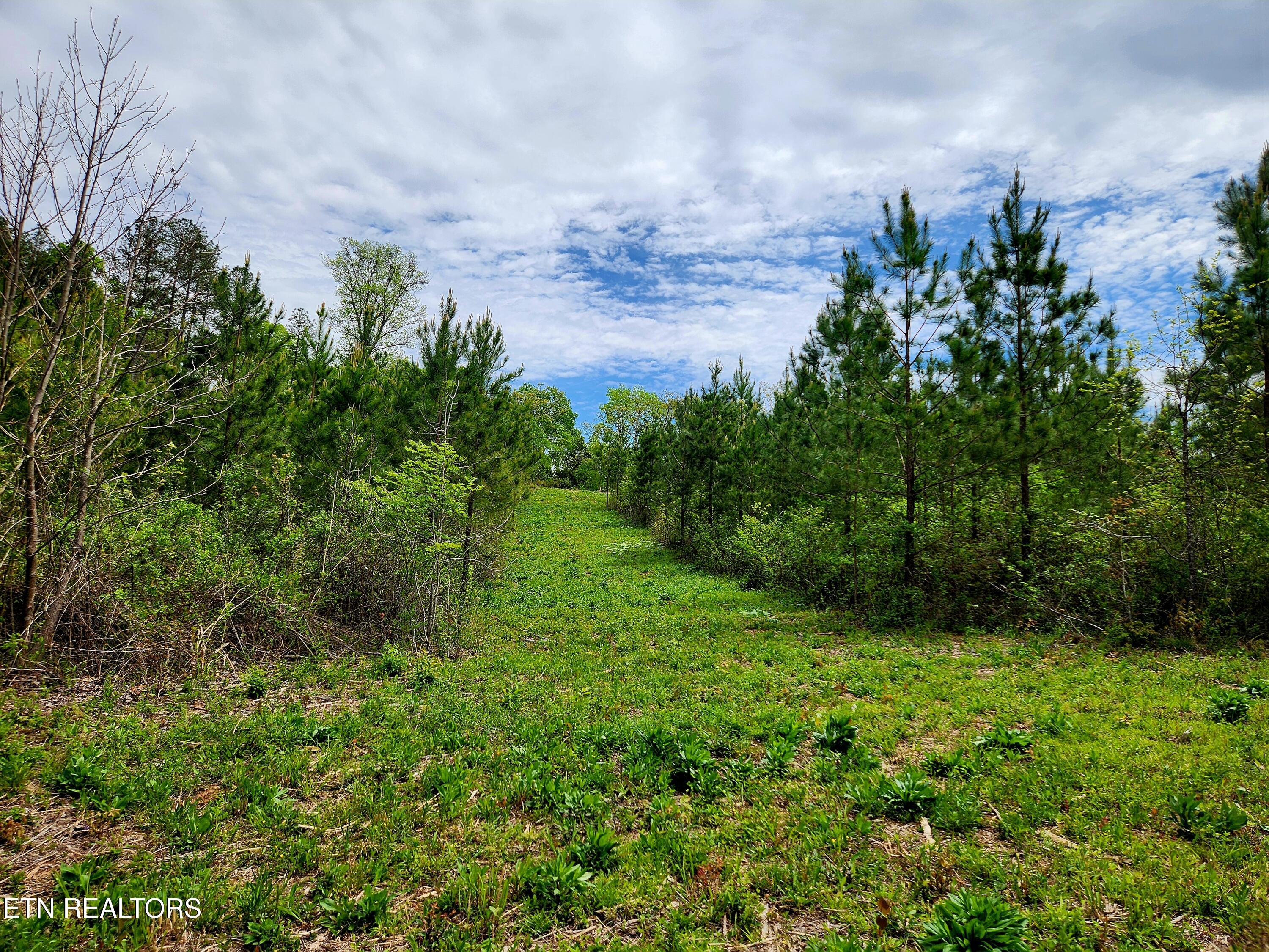 Lot 6 Winding Trail Madisonville TN 37354