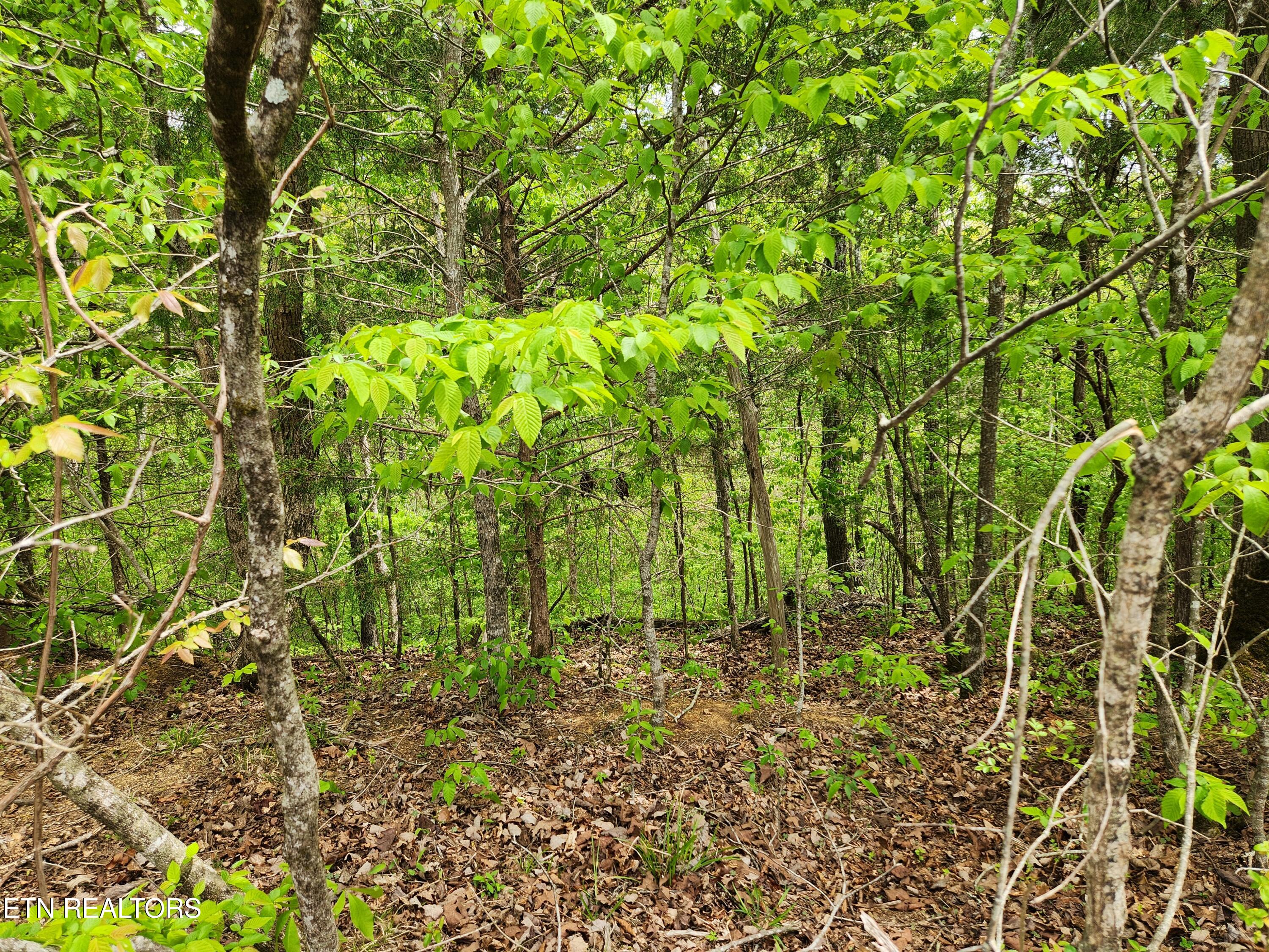 Lot 6 Winding Trail Madisonville TN 37354