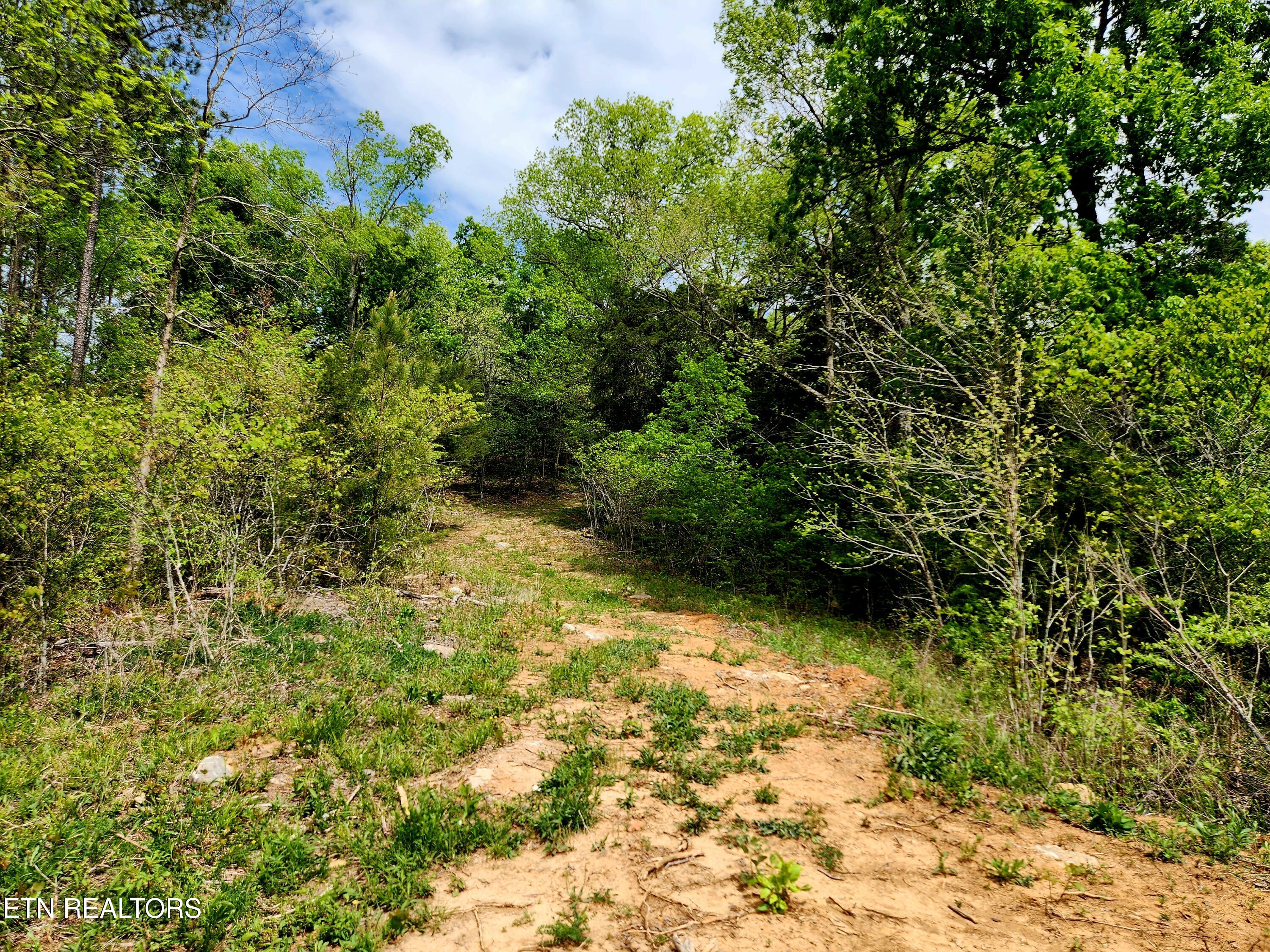 Lot 6 Winding Trail Madisonville TN 37354