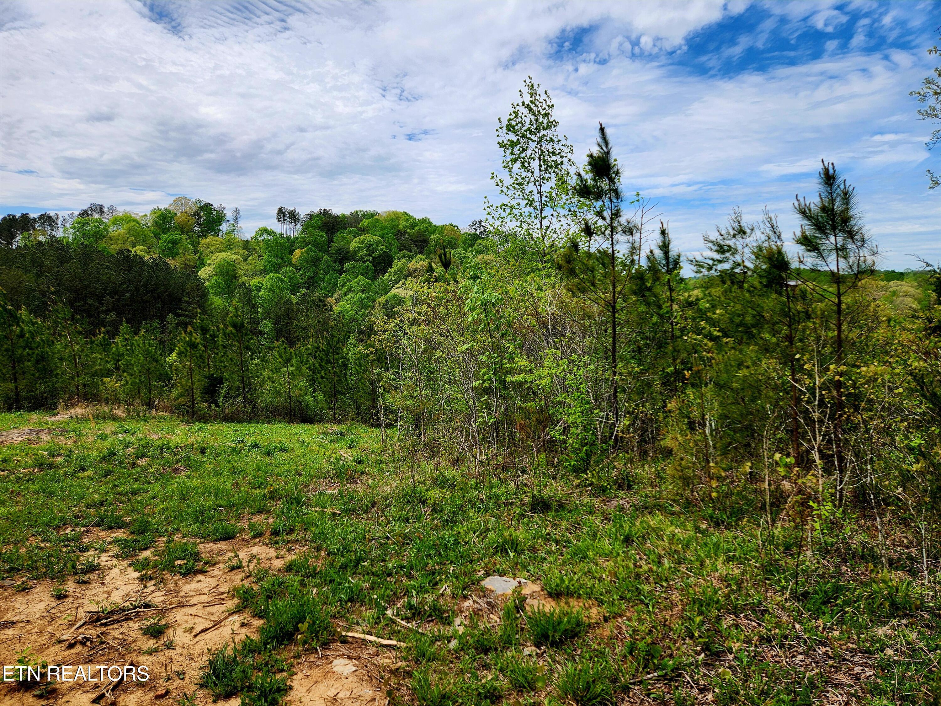 Lot 6 Winding Trail Madisonville TN 37354
